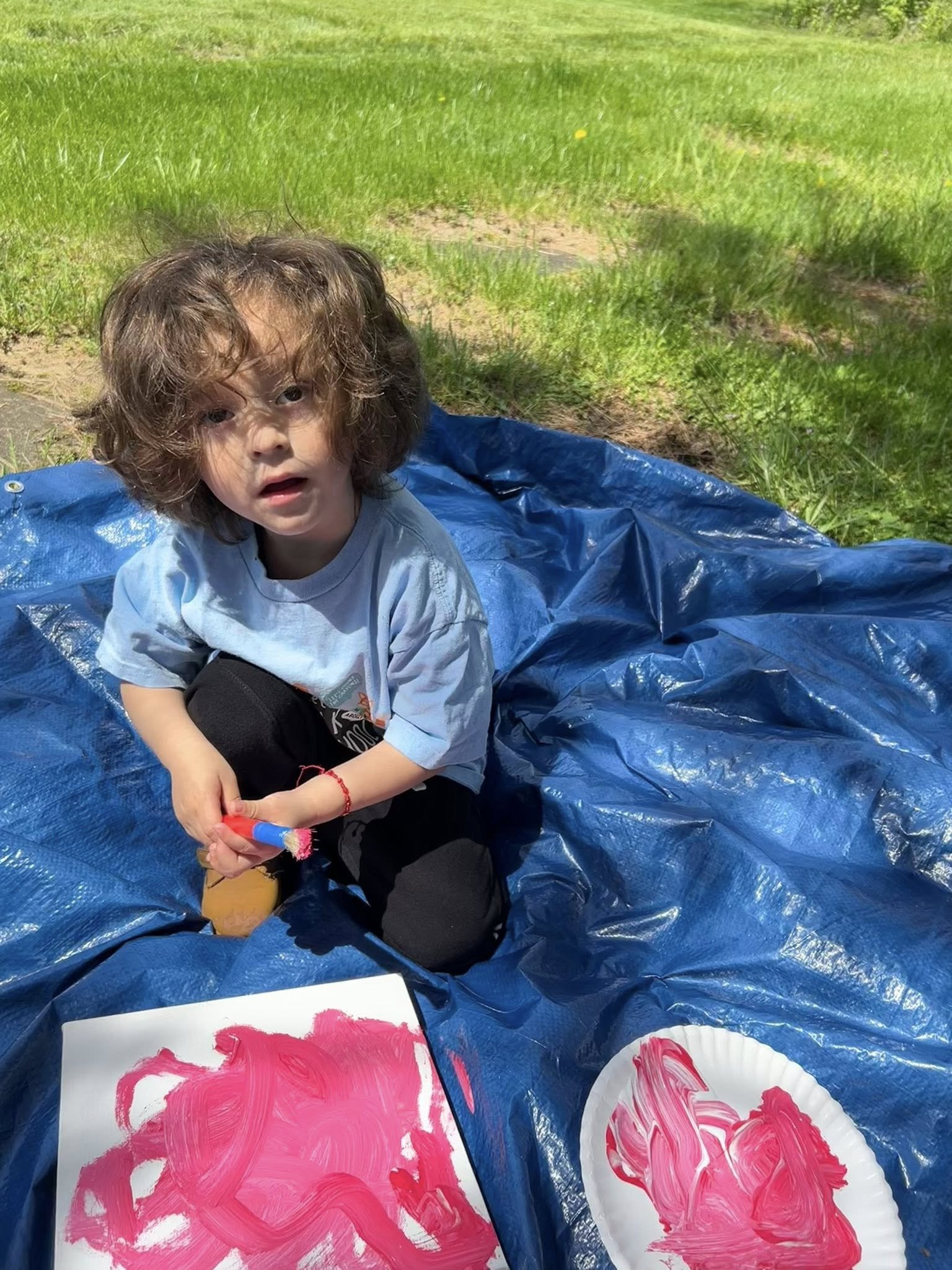 A young child with curly brown hair kneeling on a blue tarp outdoors, holding a paintbrush, with a painting and paper plate with pink paint in front of them.