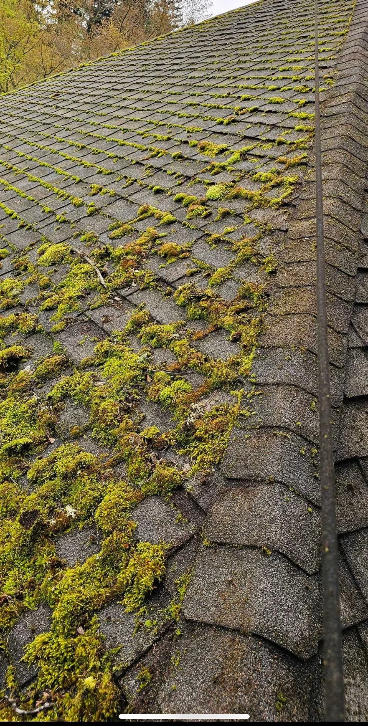 Roofs, Gutter &  Patio Cleaning