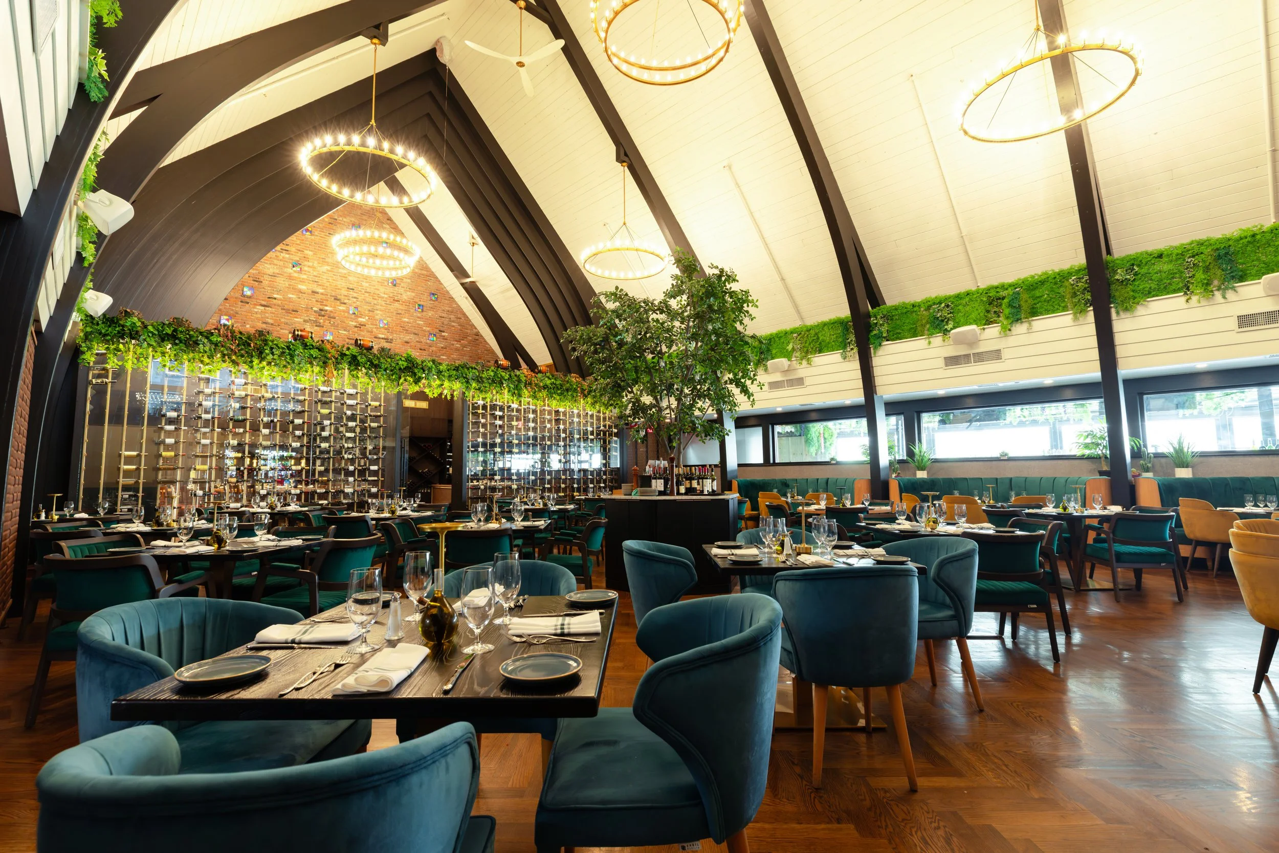 24-8-21 Arca (3).jpg