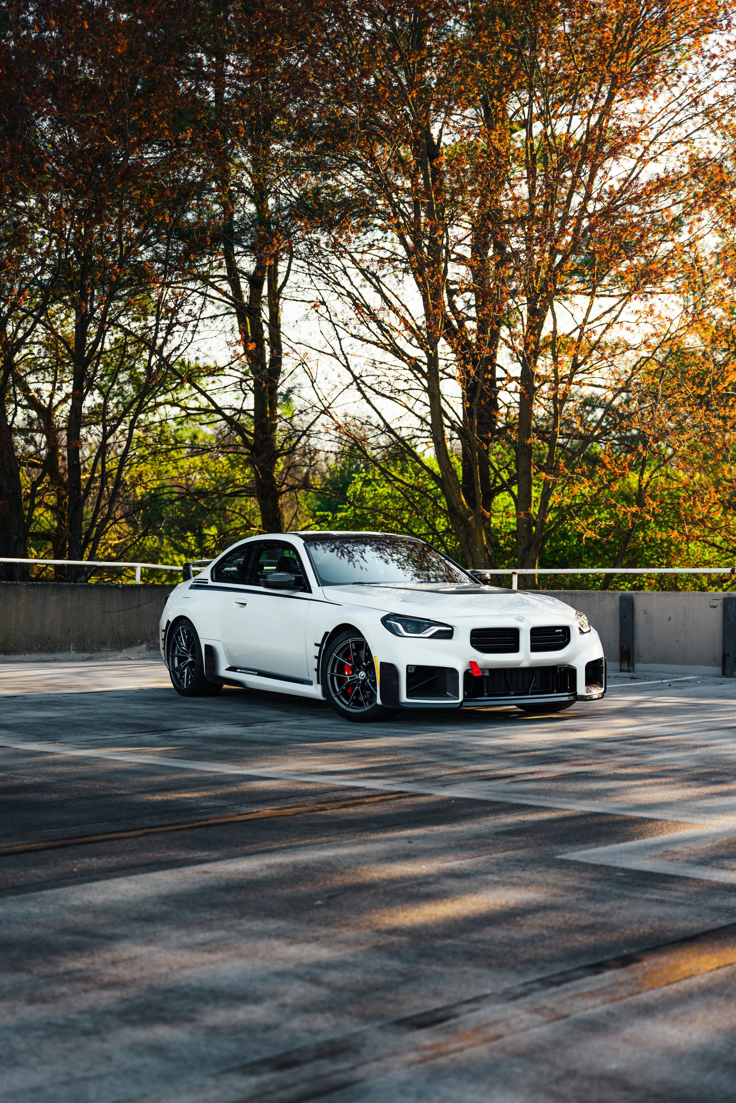 BMW (2).jpg