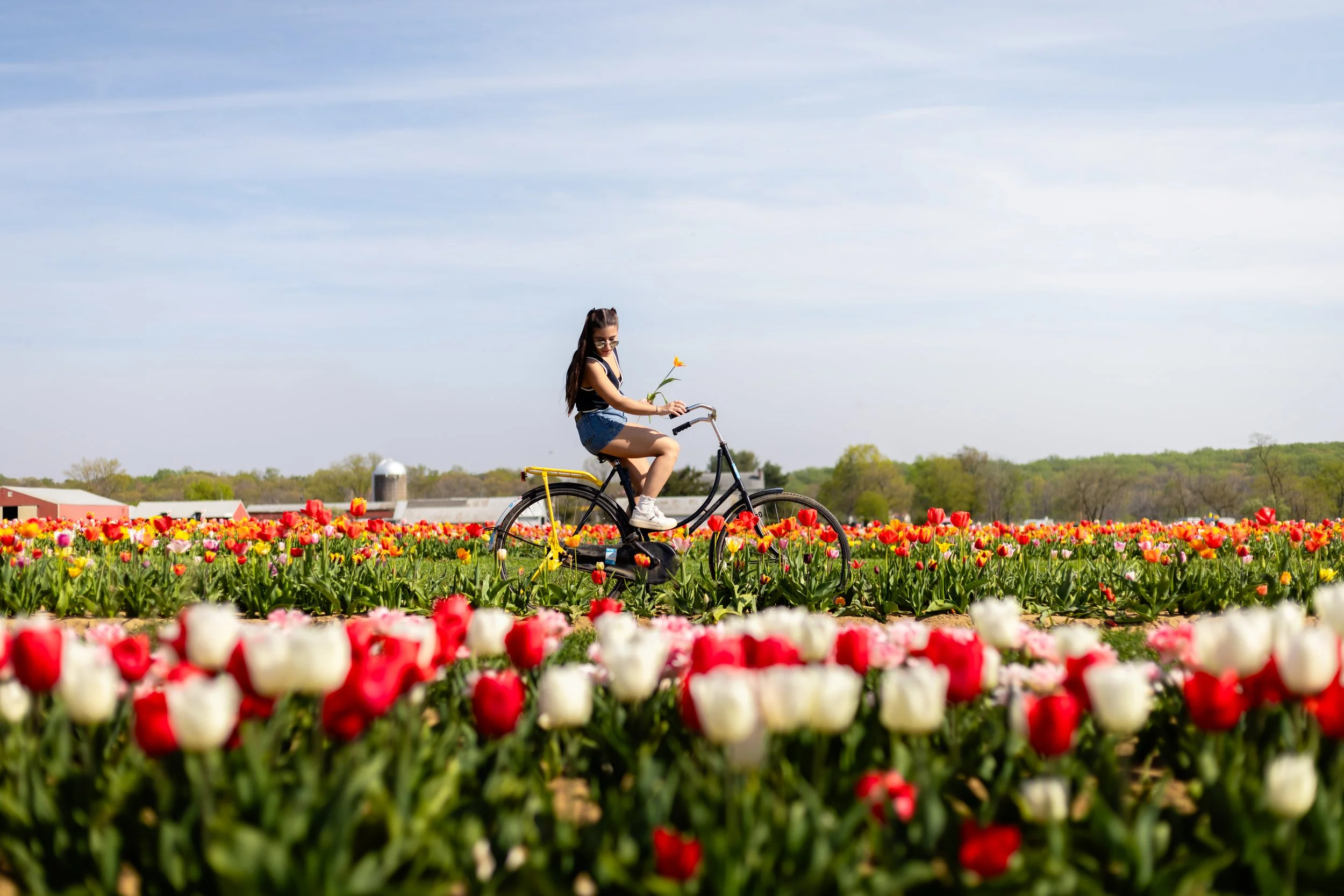 25-4-29 Kat Tulip Farm (20).jpg