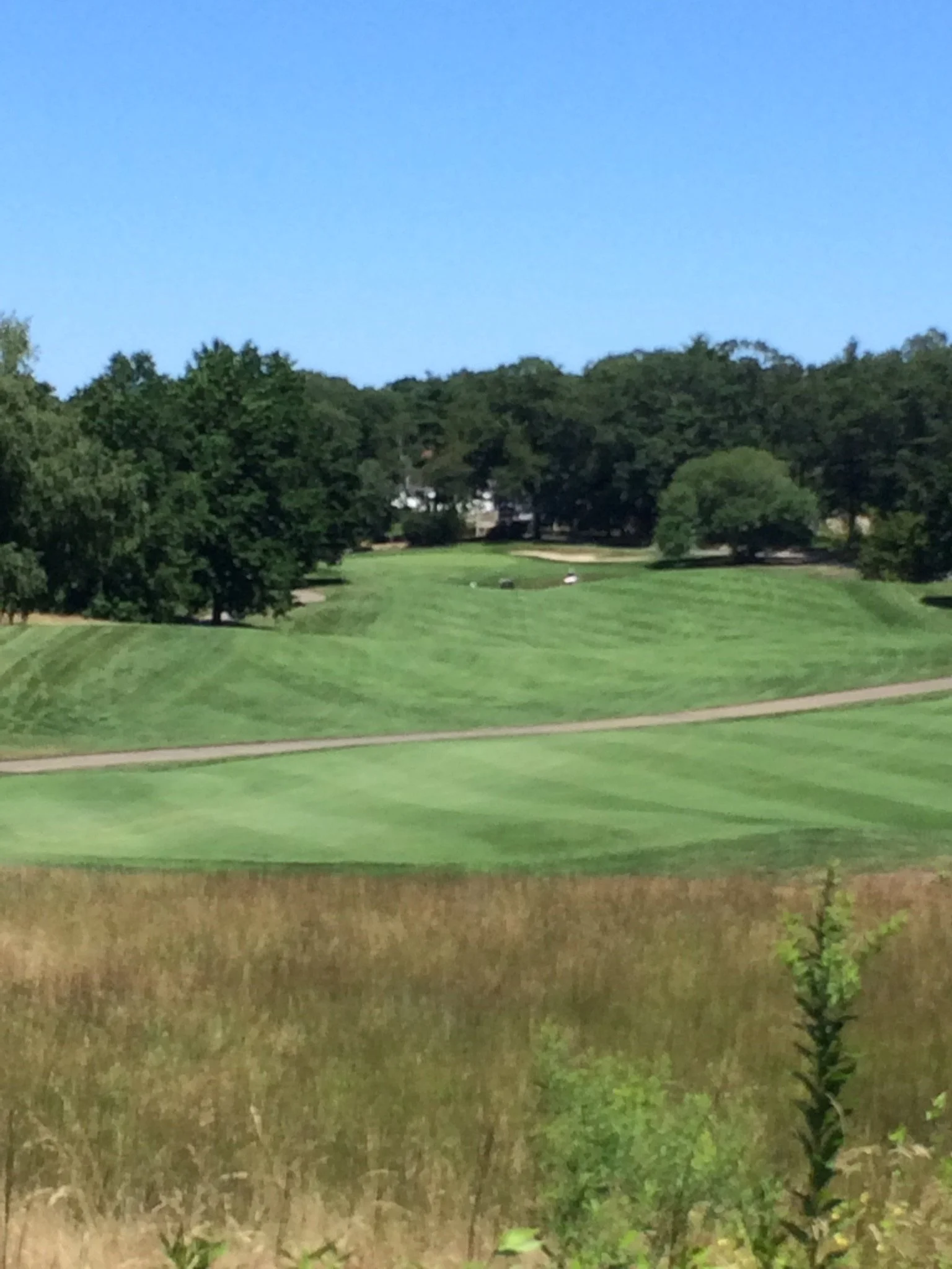 #18 Cohasset Golf Club