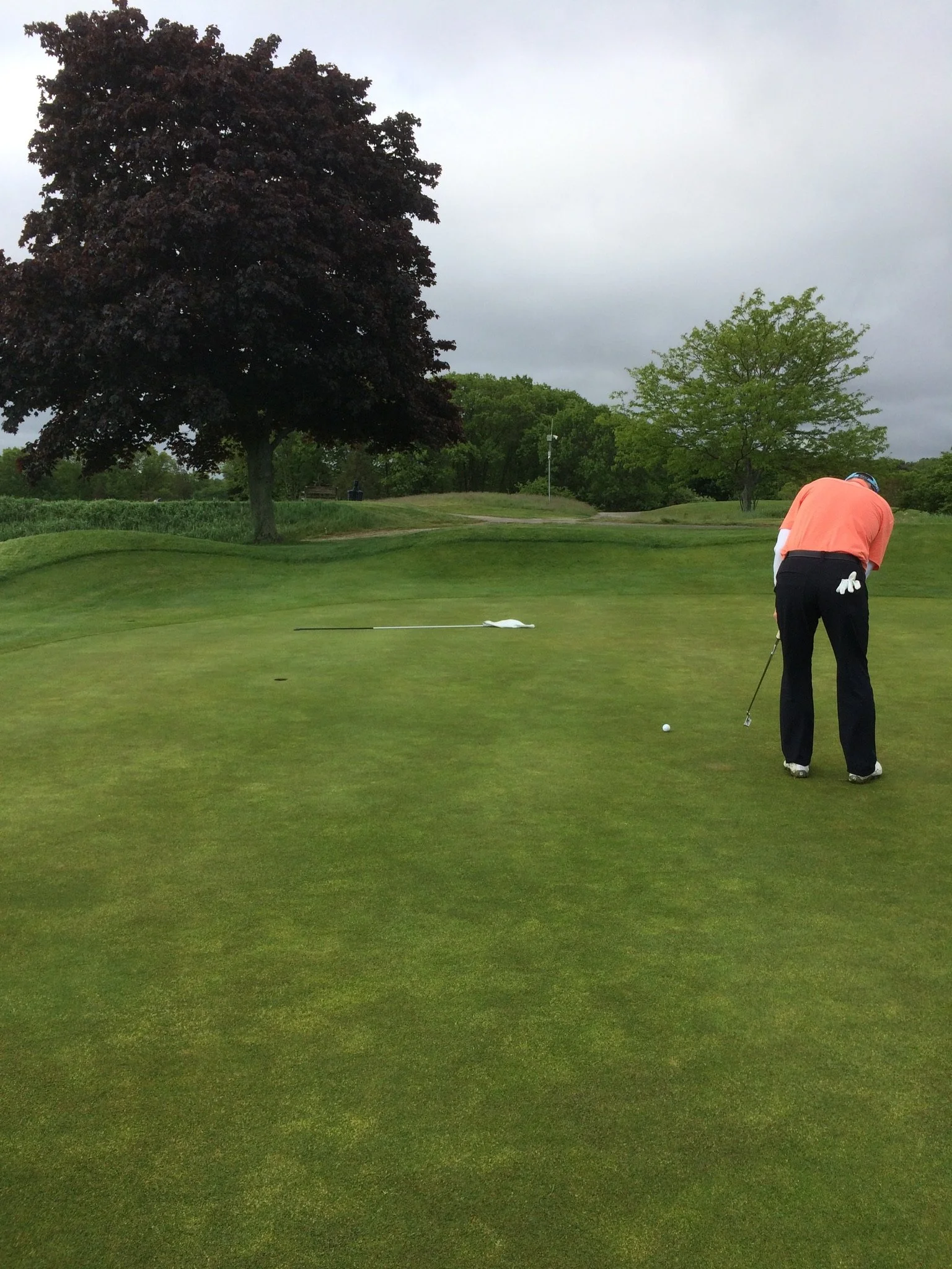 #10 Green, South Shore Country Club