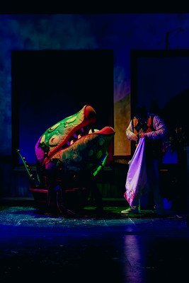 Little shop19.jpg