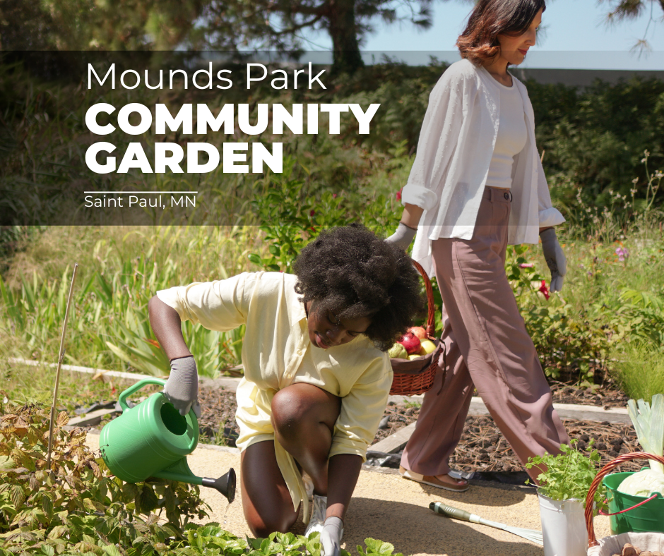 From a hunch to reality with the DBCC