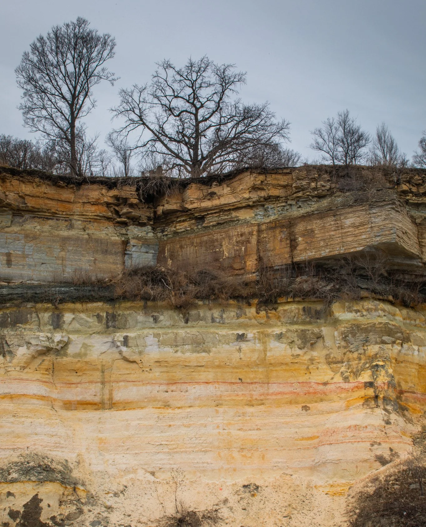 Homepage image 4.jpg