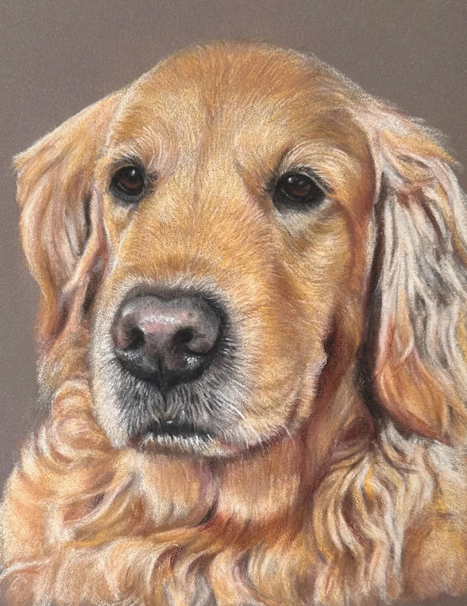 A realistic painting of a golden retriever dog with a calm expression, detailed fur, and dark eyes, set against a plain background.