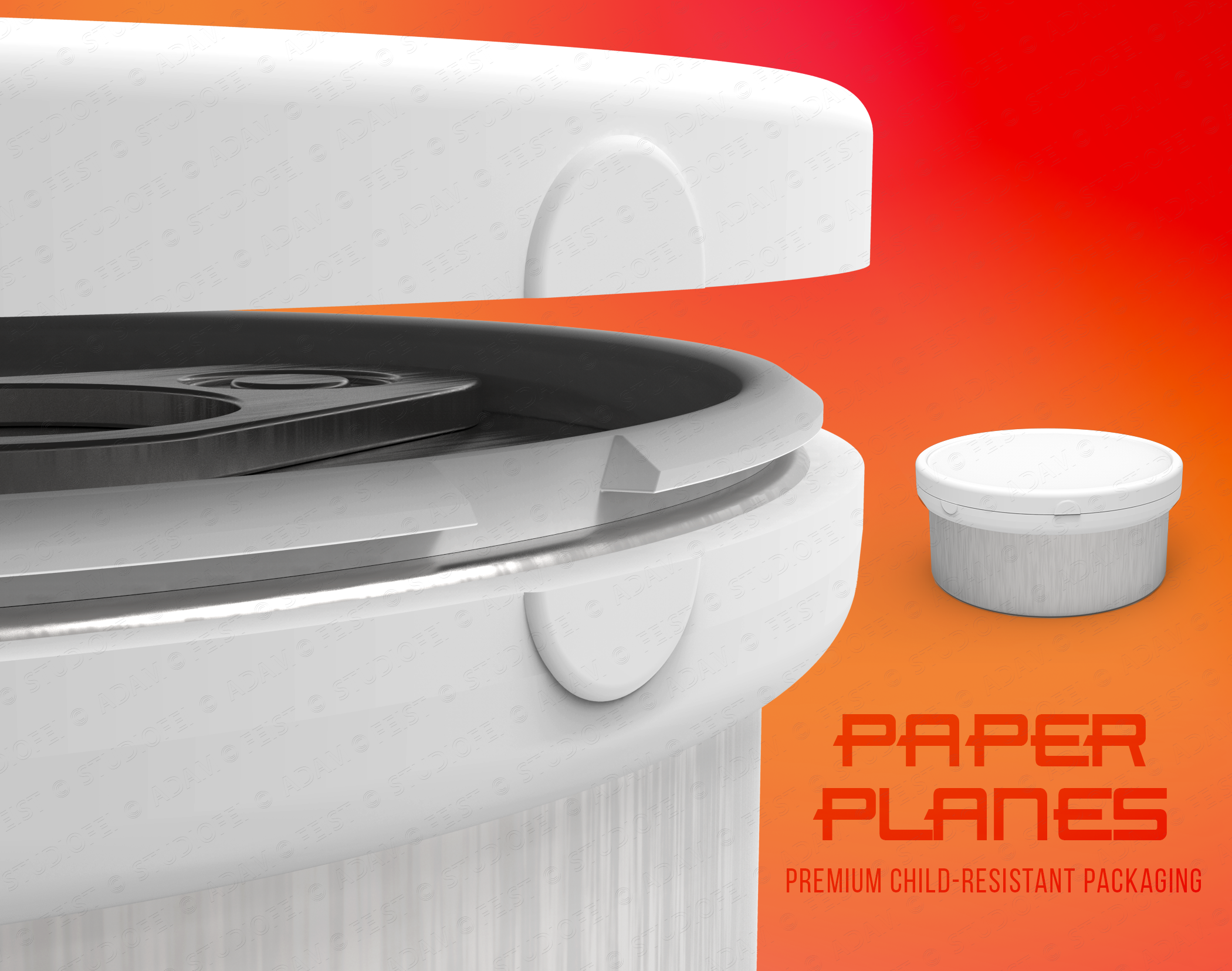 FEIST_PAPER PLANES - CAN_01©.png