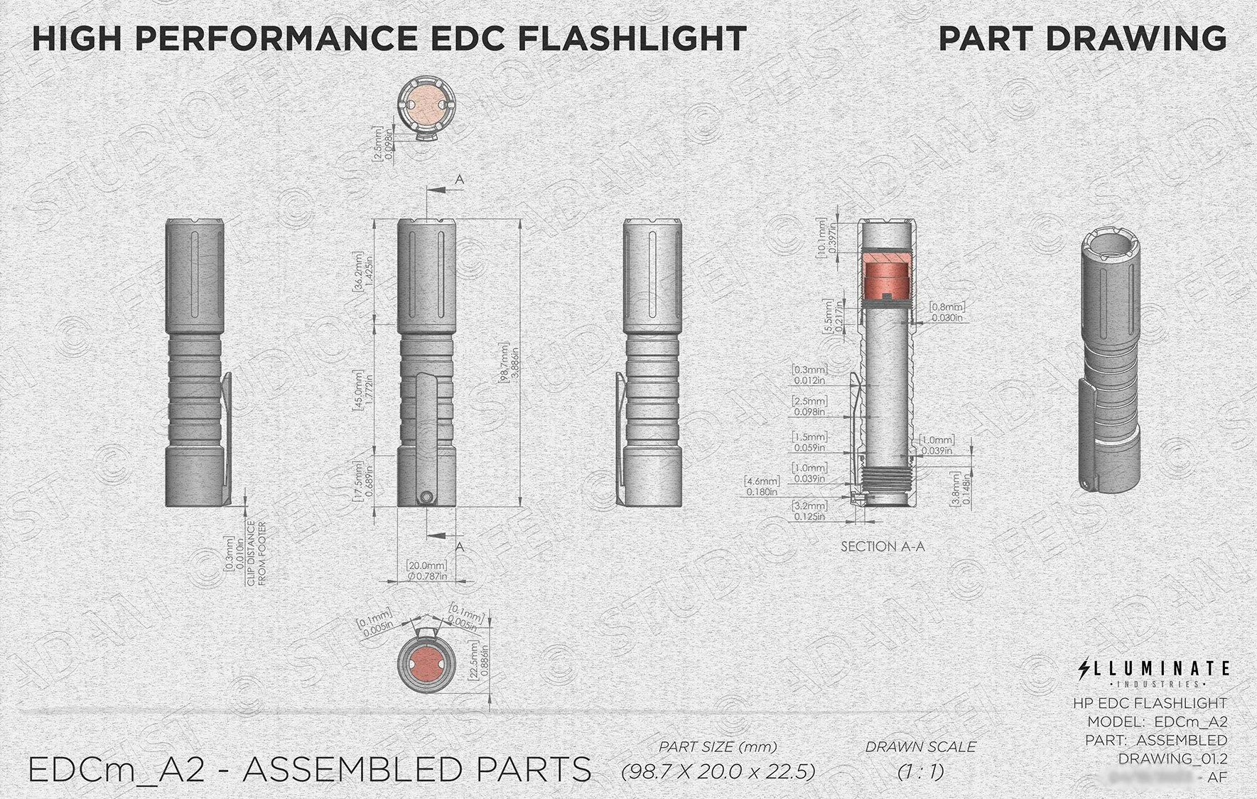 FEIST - ILLUMINATE IND_02©.jpg