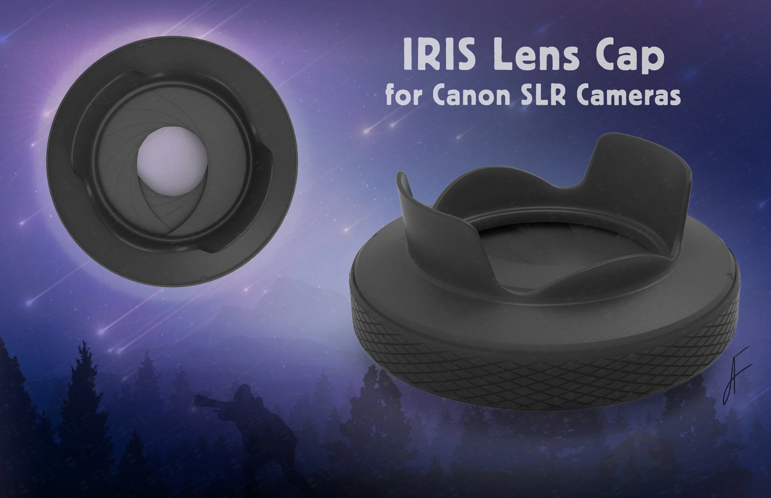 FEIST - IRIS LENS - NIGHT©.jpg