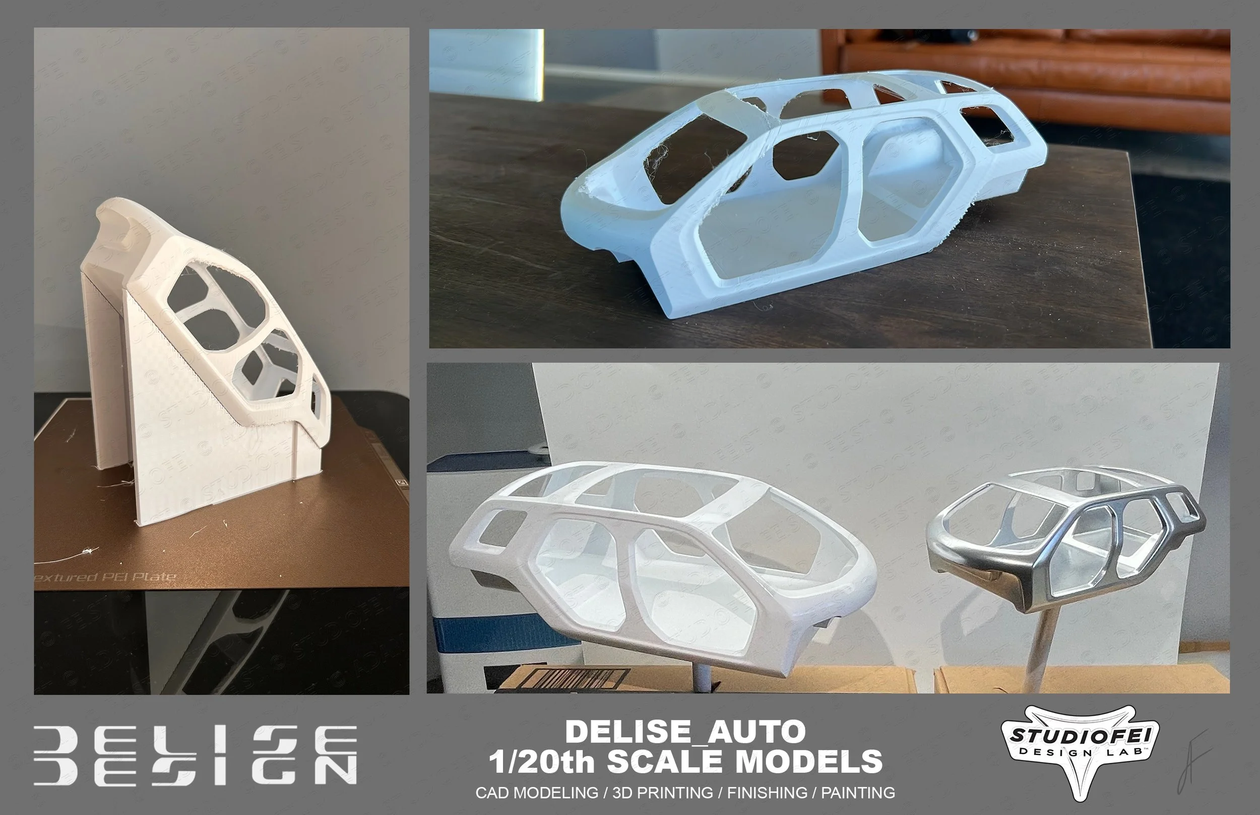 FEIST_DELISE - DELISEAUTO - PROTO PICS_02©.jpg
