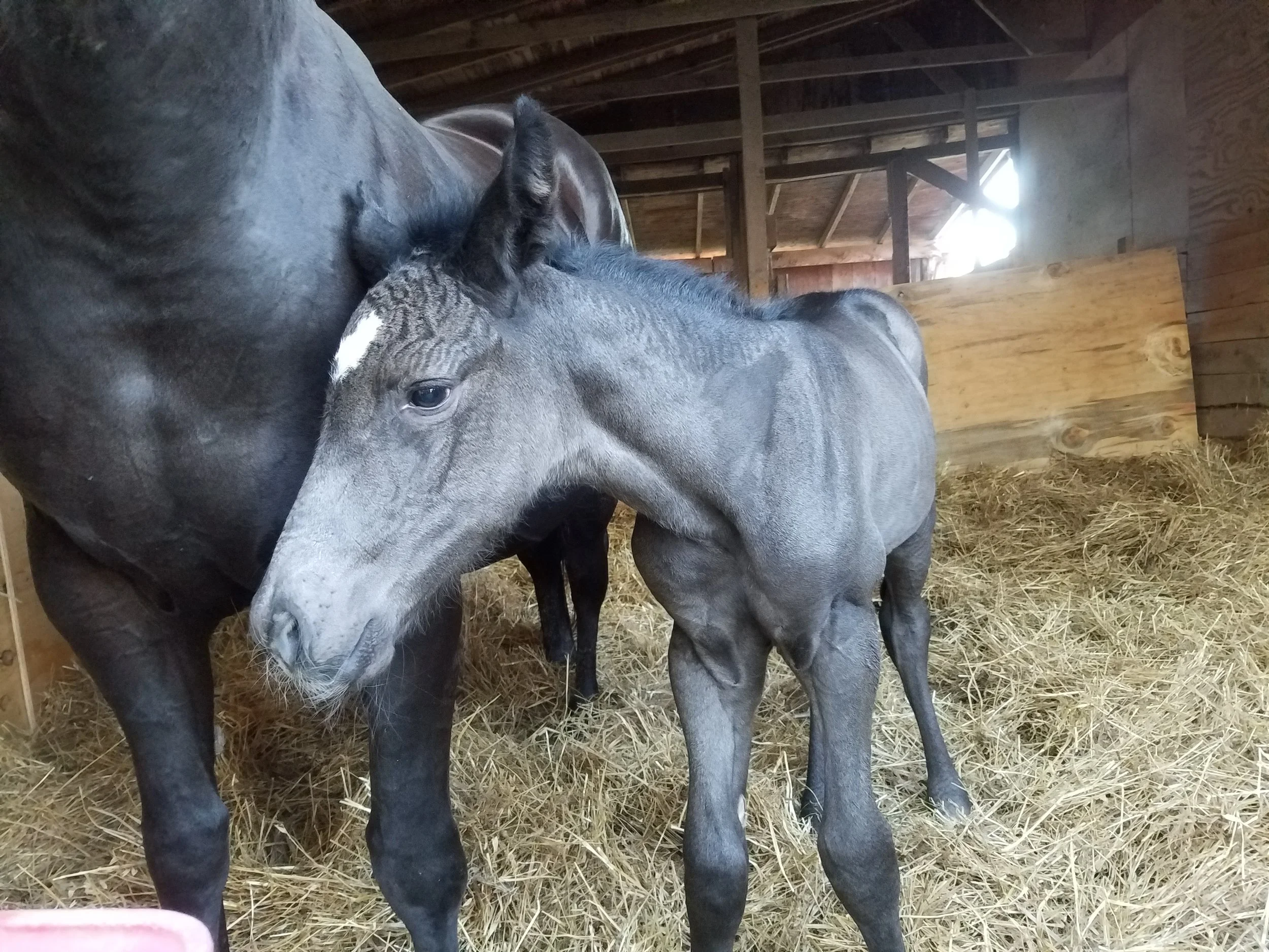 Special enrollment - deposit