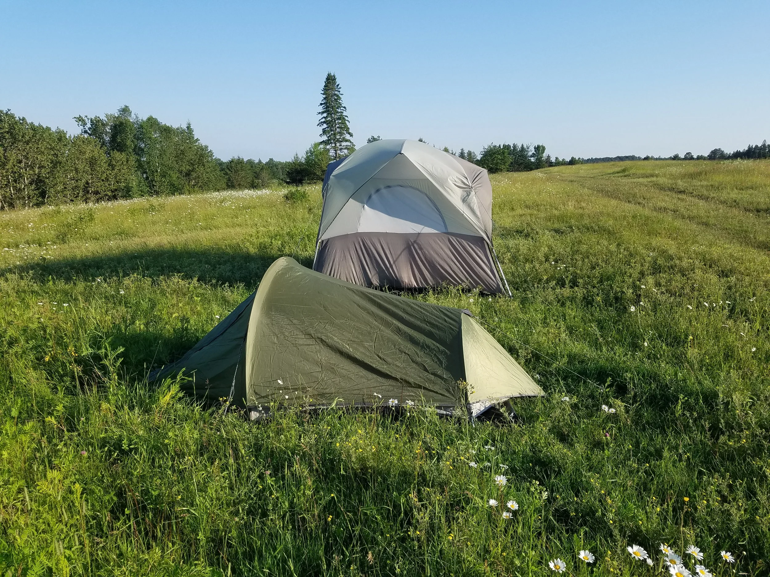 Two tents set up in a field