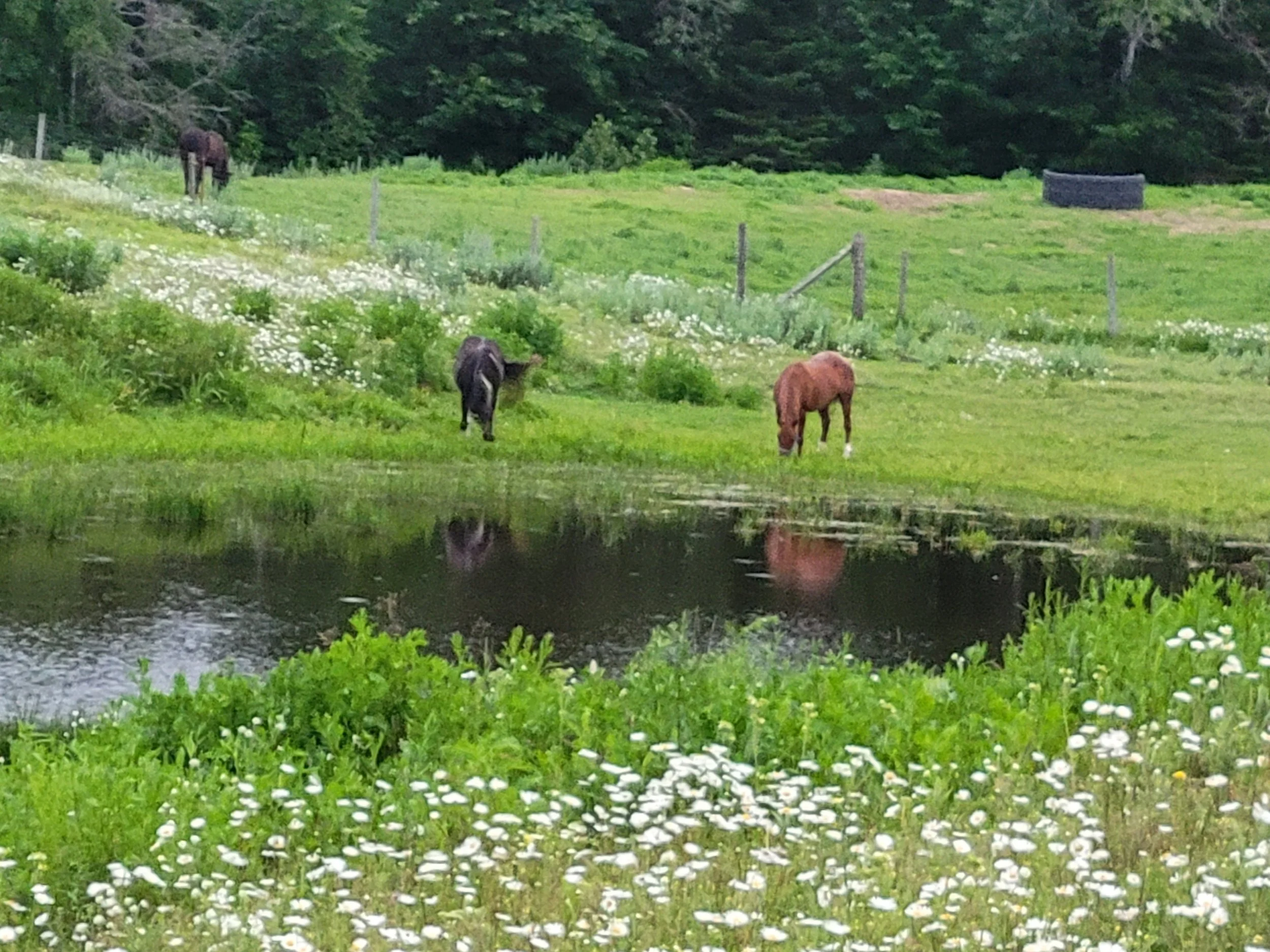 2nd session enrollment - deposit