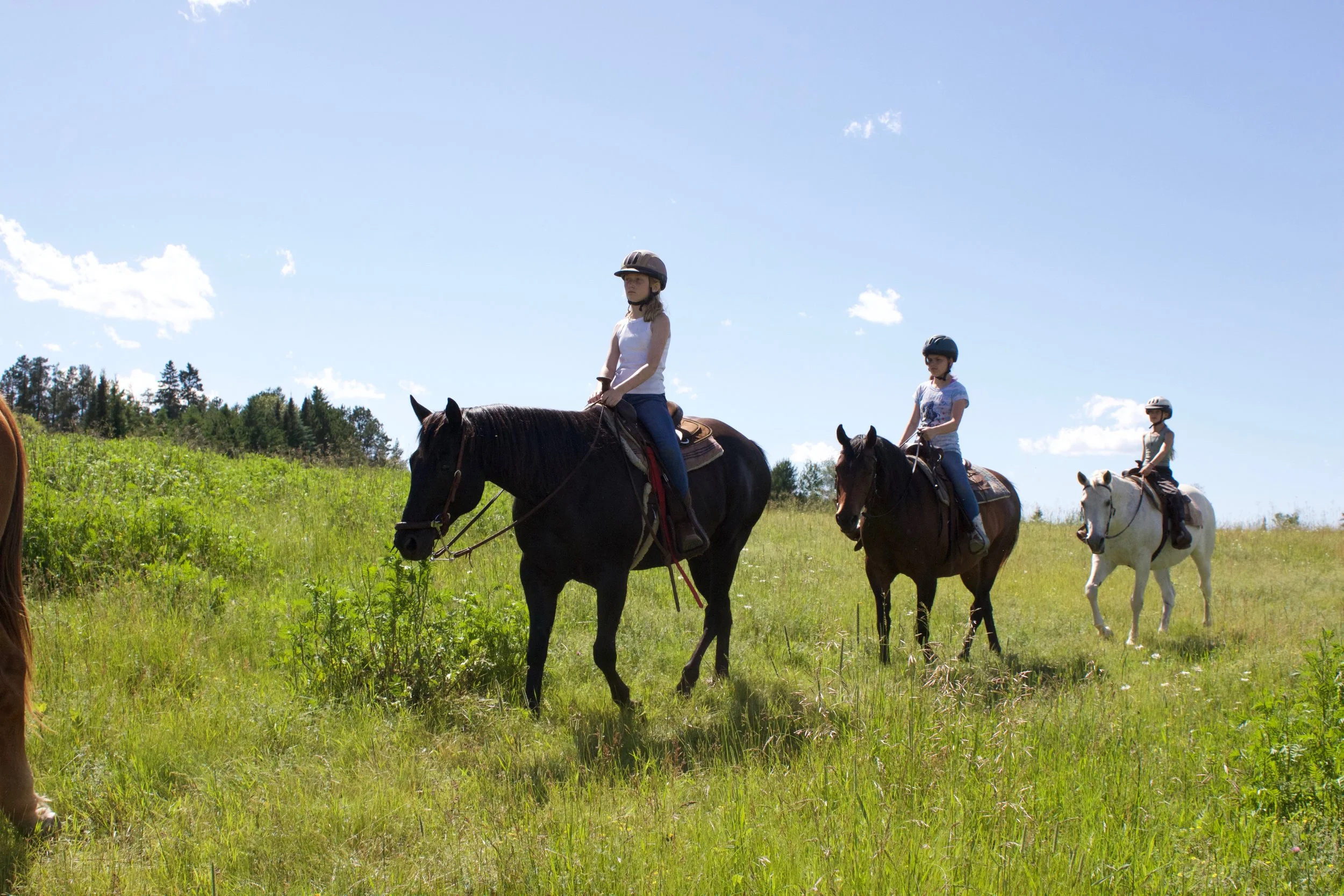 Trail ride in pasture