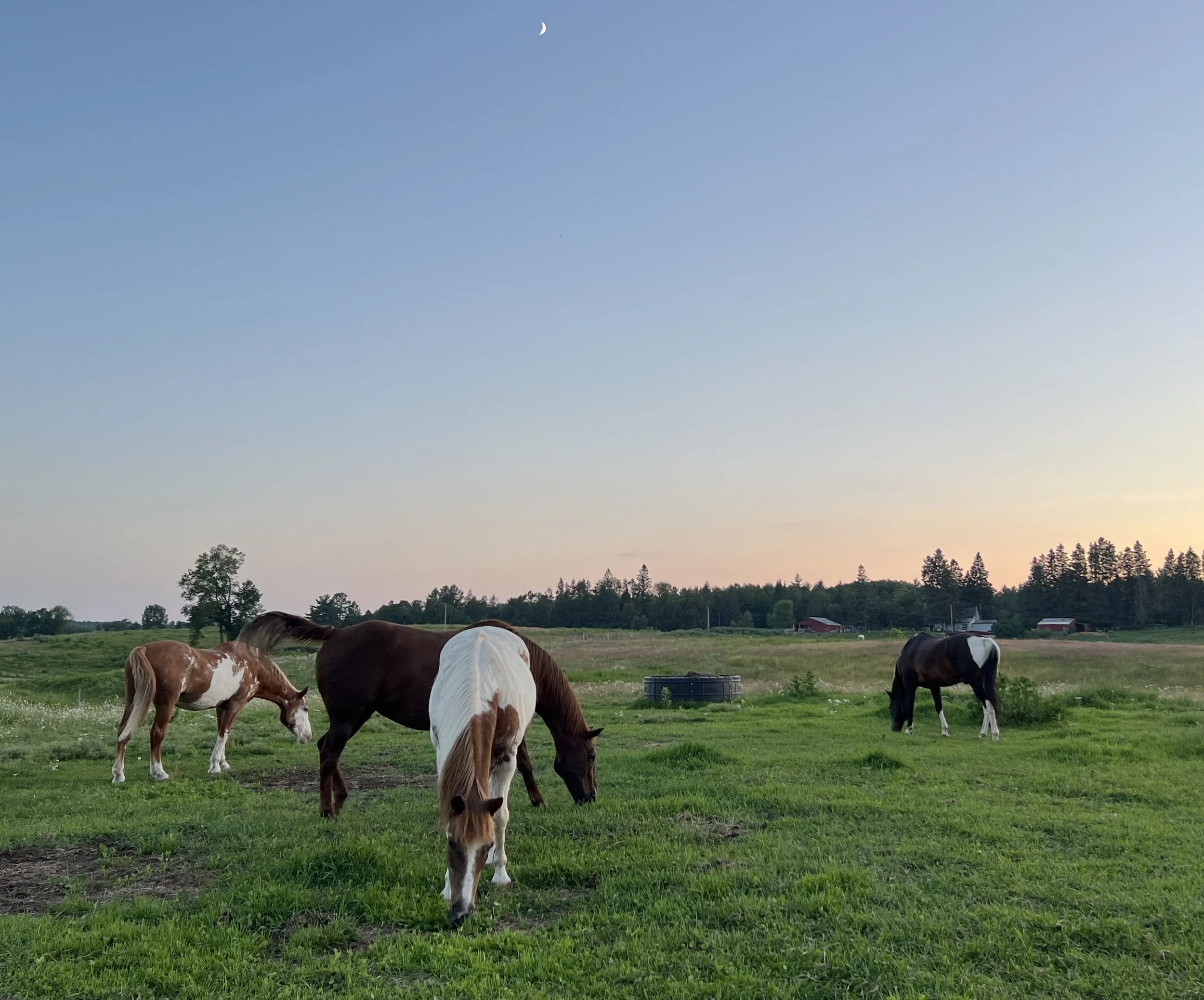 AC enrollment (invitation only) - deposit