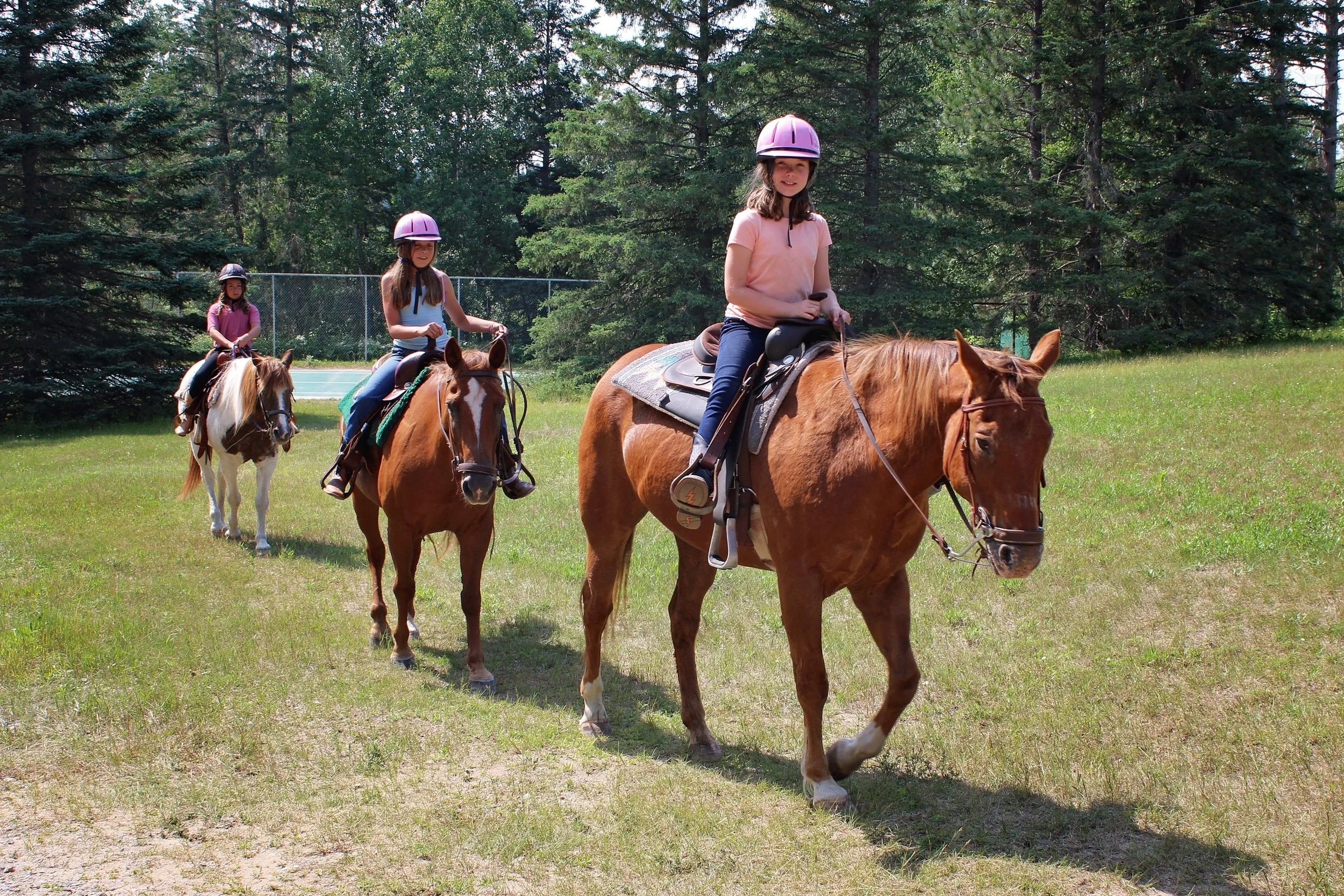 horseback trail ride