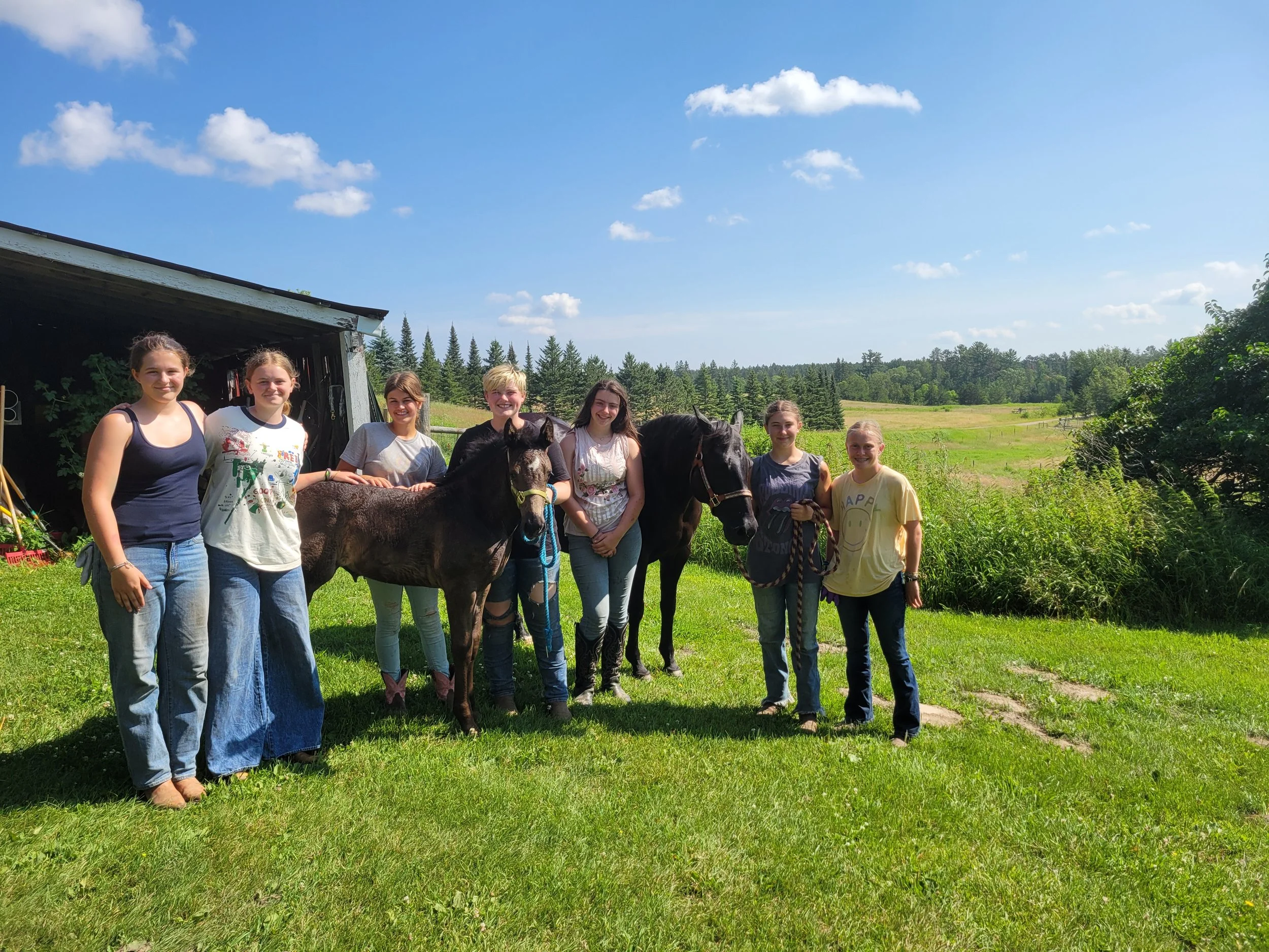 Group of girls with mare and foal