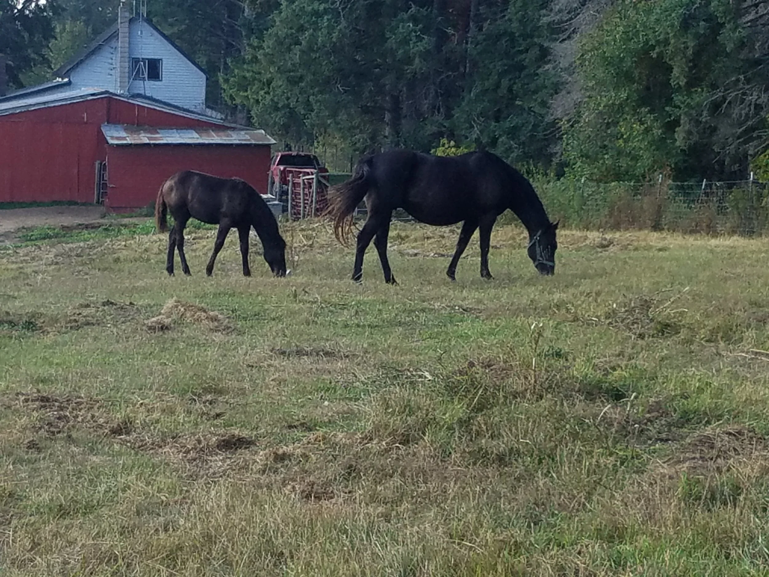 CIT enrollment (invitation only) - deposit