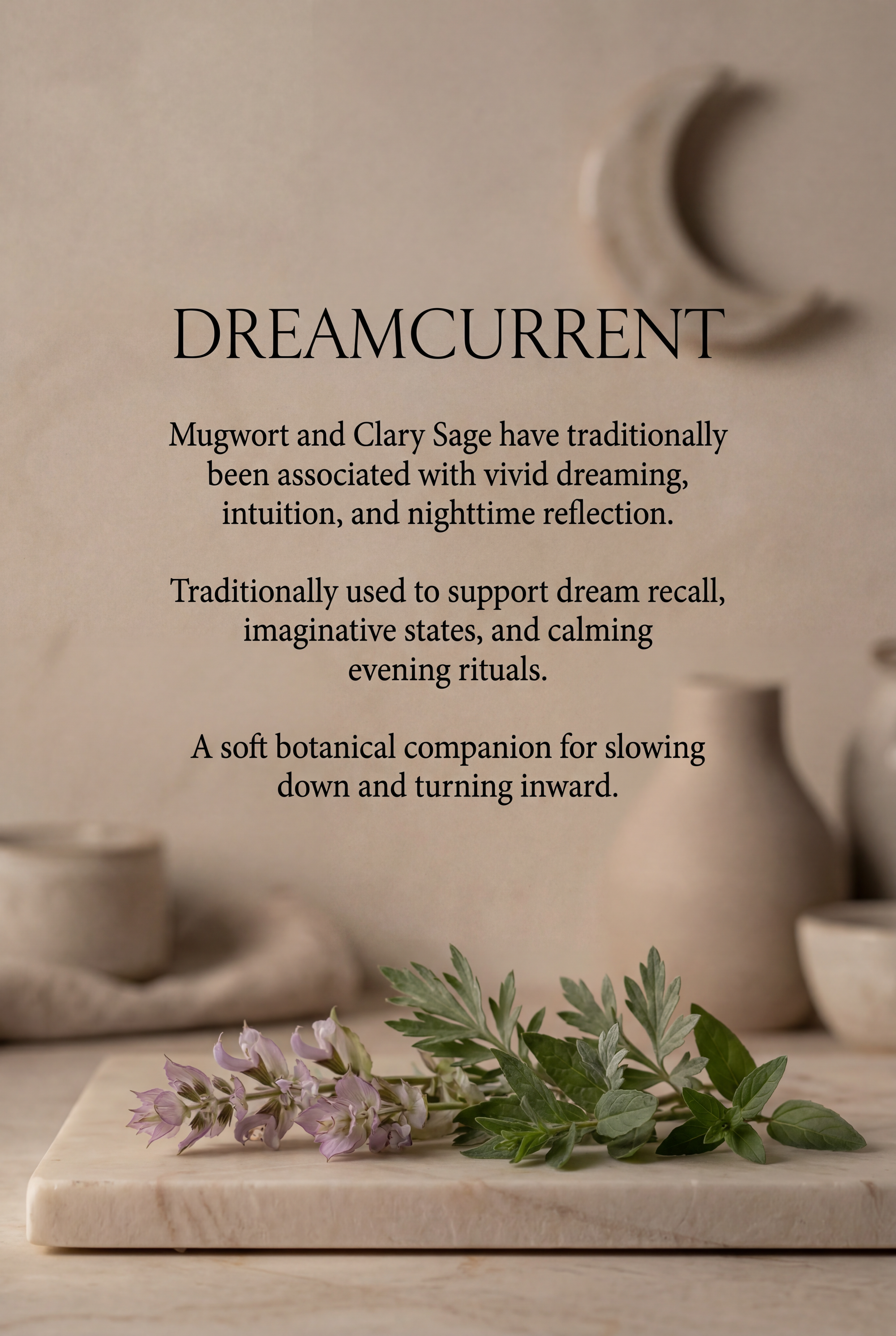 DreamCurrentInfo.png