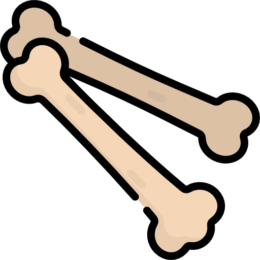 Digital illustration of two beige-colored bones, representing a femur and a tibia.