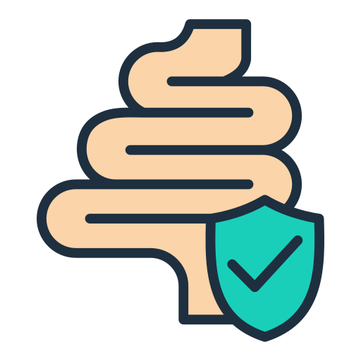 Illustration of a coiled intestines with a shield and check mark, symbolizing digestive health or protection.
