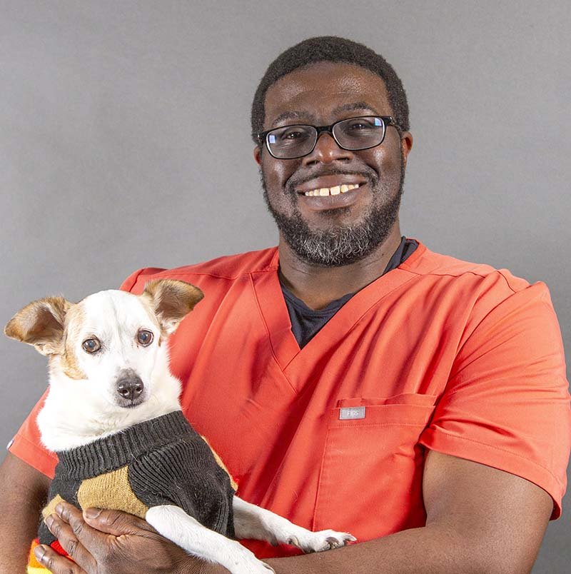 A veterinarian in orange scrubs holding a small dog wearing a sweater, both smiling.