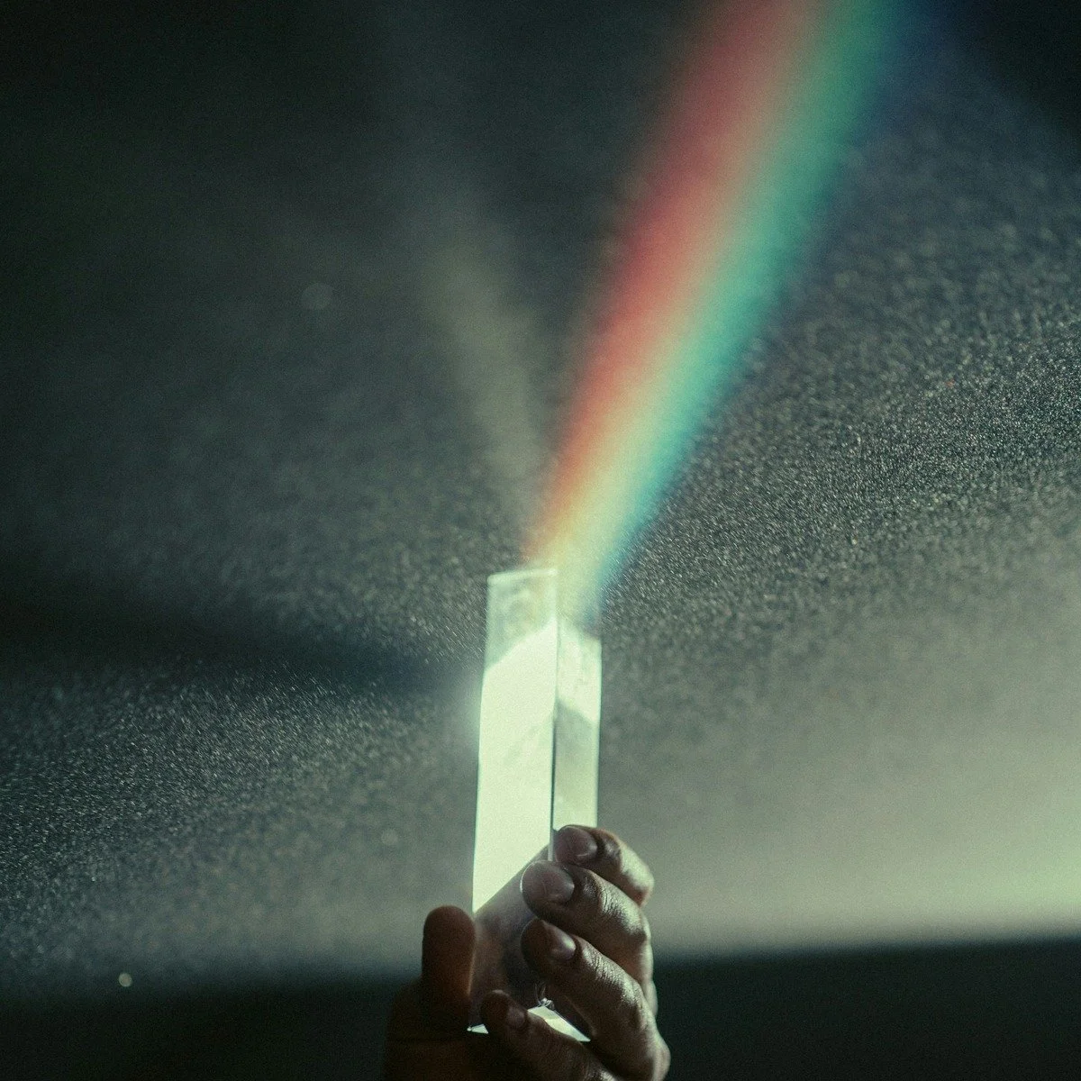 Internal Family Systems