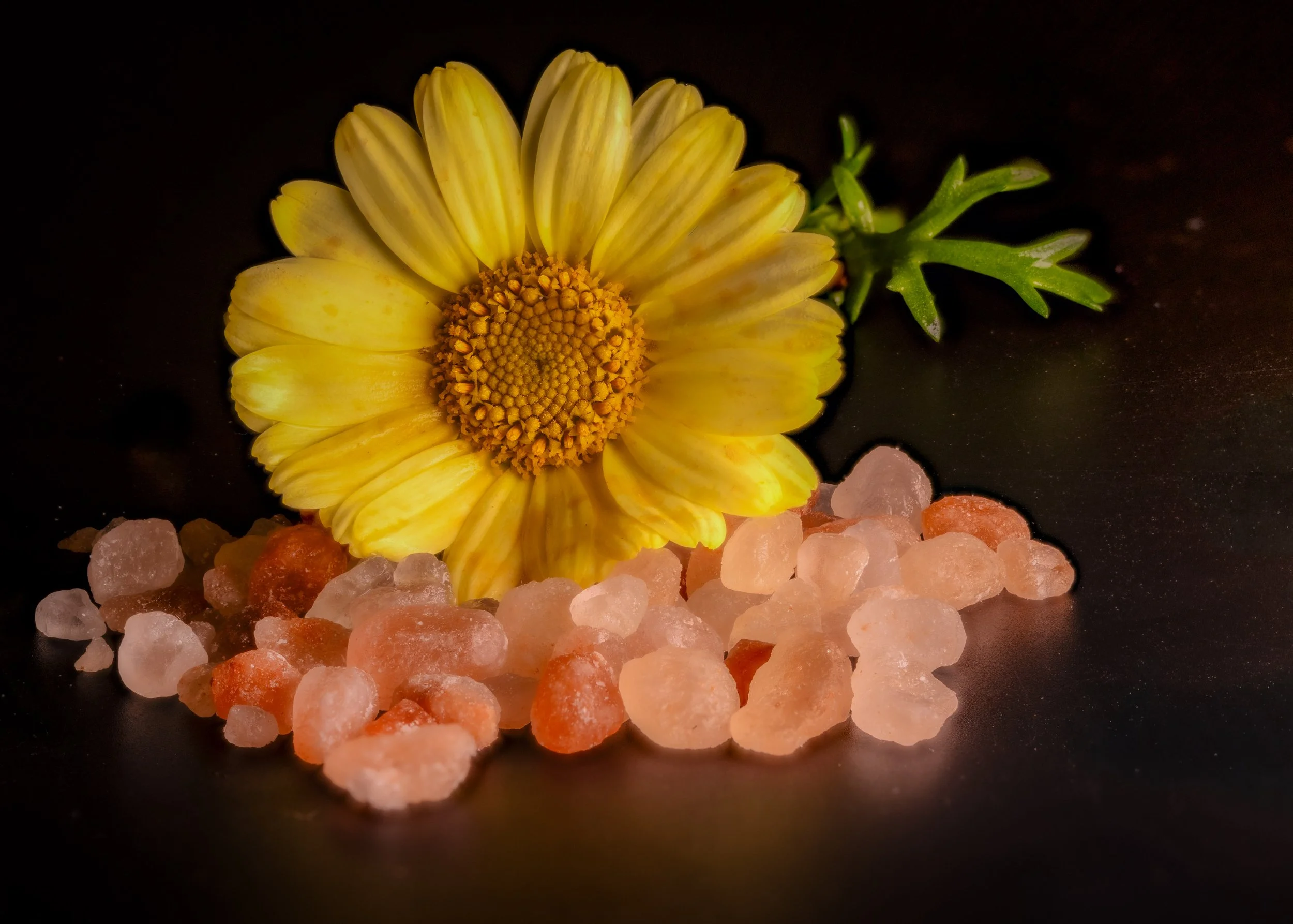 Yellow flower with green leaves beside pink Himalayan salt crystals on a dark surface.