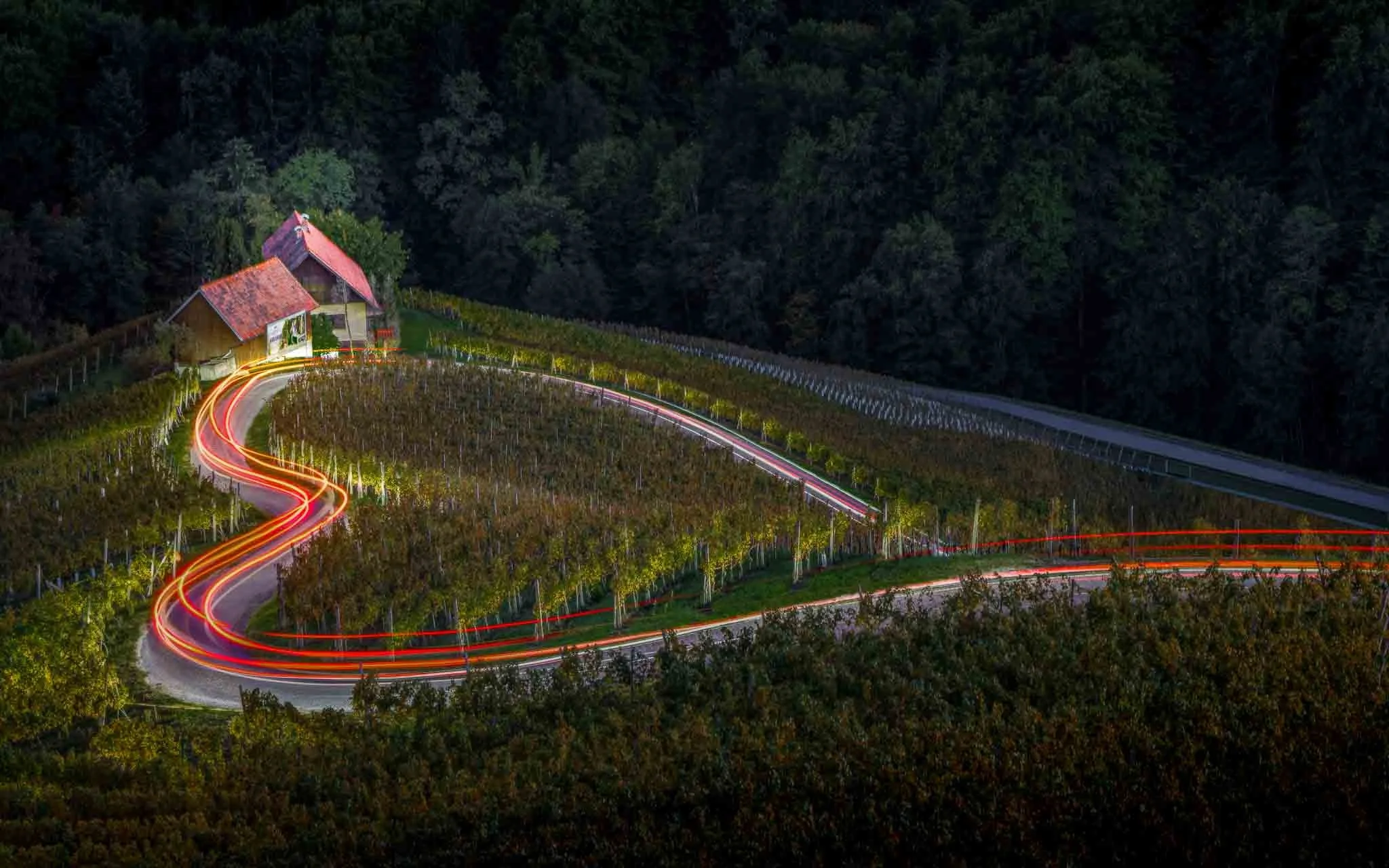 Red and white vehicle light trails winding along an S-shaped road through vineyards in Slovenia at dusk.
