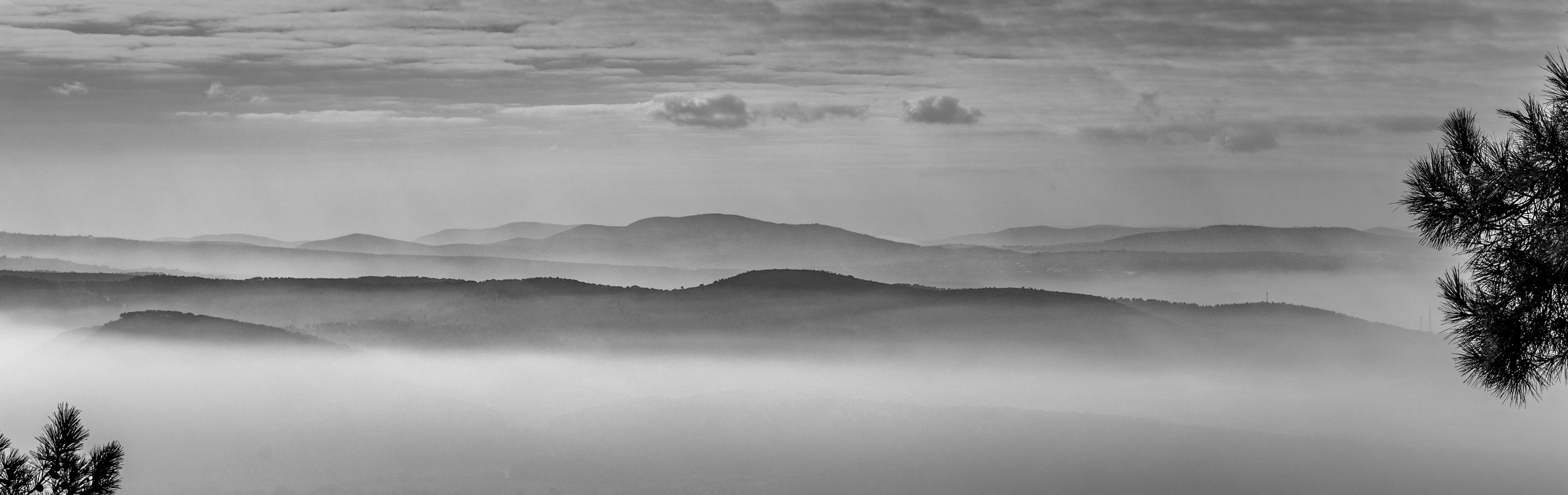 Black and white photograph of layered mountain ranges with fog in the valleys and cloudy sky above, with pine tree branches on the right and left edges.