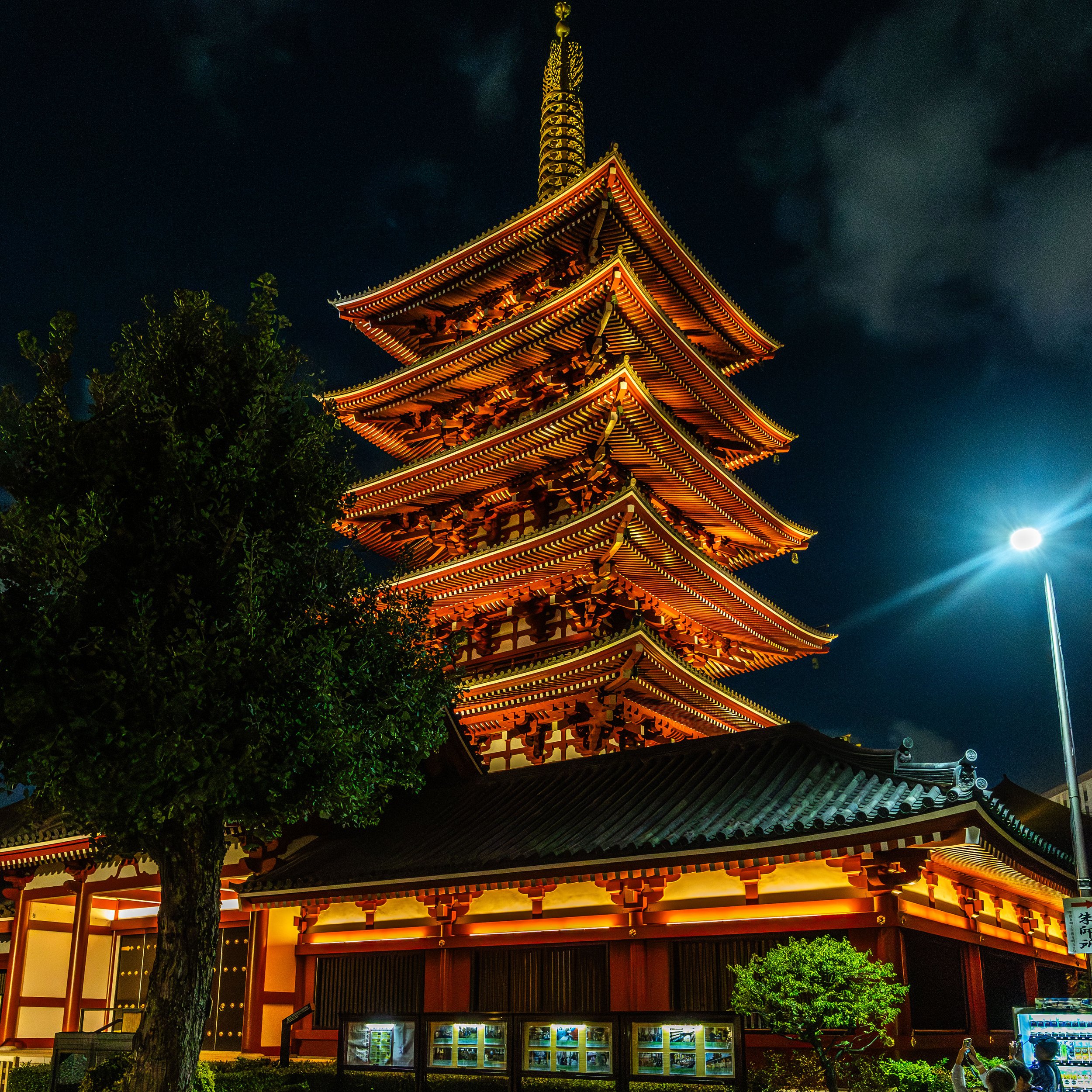 Night view of a traditional Japanese five-story pagoda illuminated with warm lighting, with a tree partially blocking the lower left corner and a streetlamp to the right illuminating the scene.