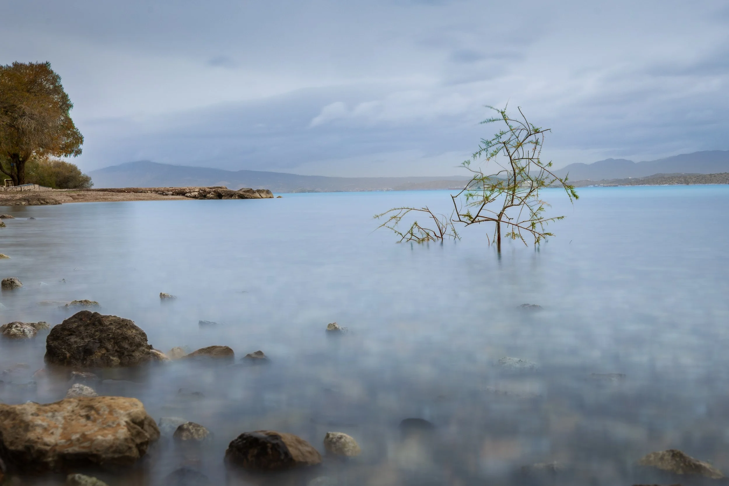 A calm lake with a partially submerged small tree or shrub, rocks in the foreground, and a distant shoreline with trees and mountains under a cloudy sky, photograph by erez nudmanov
