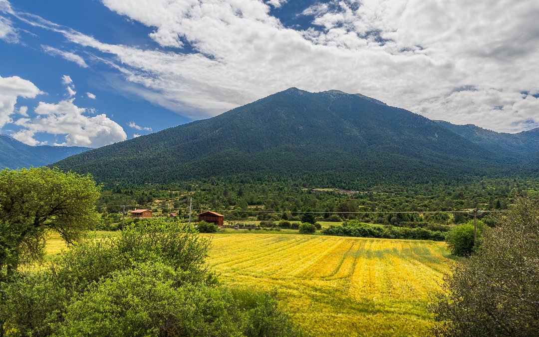 Scenic landscape of a mountain with green forest, surrounded by grassy fields and trees under a partly cloudy sky.