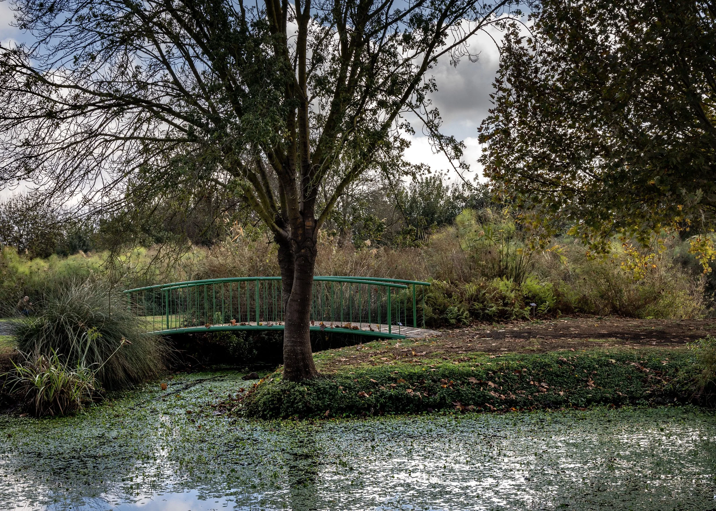 A small green metal footbridge over a pond with trees and shrubs in a park on a cloudy day.