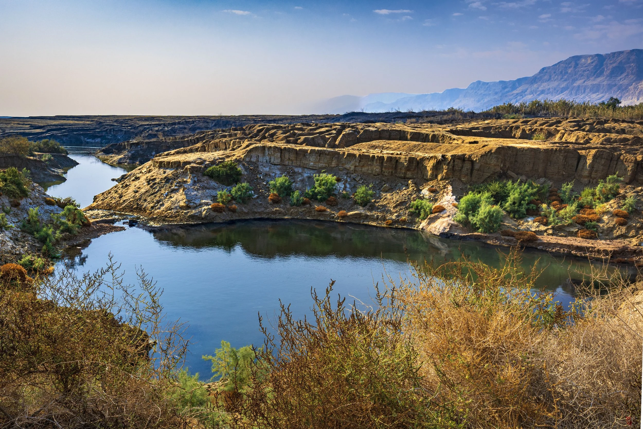 A river flowing through a desert canyon with rocky cliffs and sparse green vegetation under a blue sky with clouds.