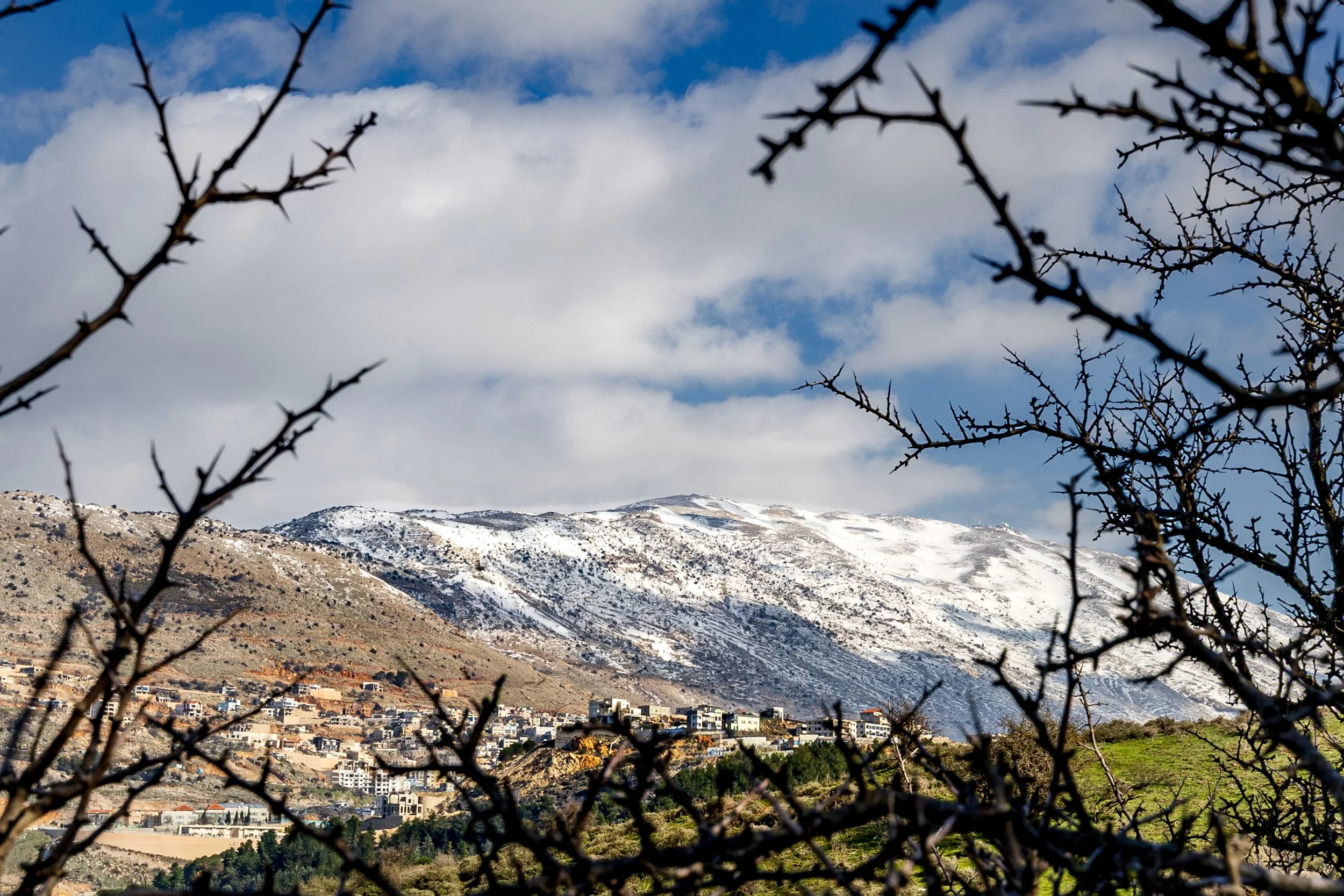 A mountain with snow on top, houses at its base, and leafless thorny branches in the foreground under a partly cloudy sky.