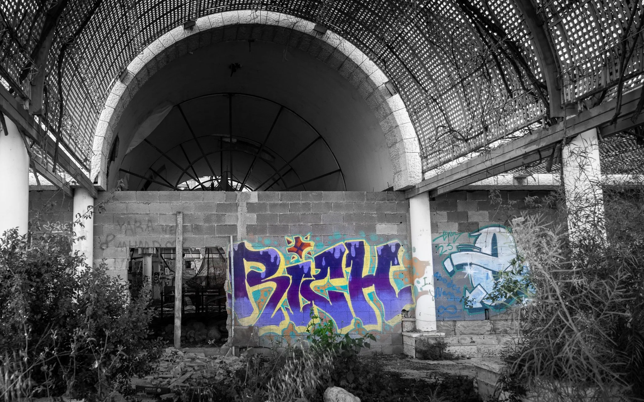 Black and white photo of an abandoned industrial space with graffiti artwork on a brick wall in color. The space has a curved metal and mesh roof structure and overgrown plants in the foreground.