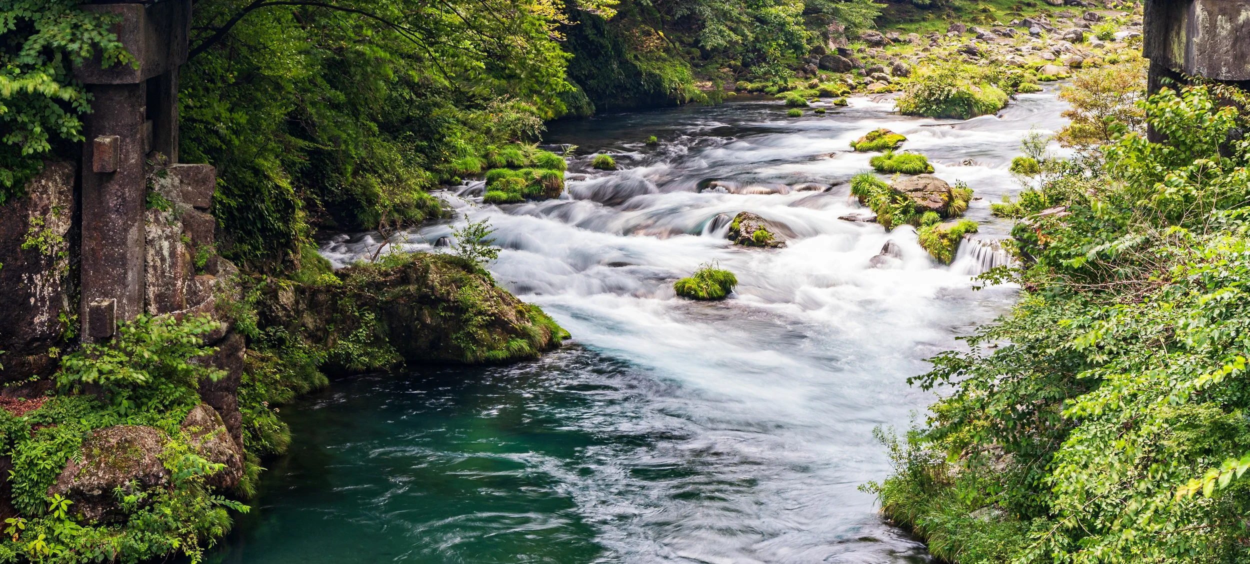 Flowing river with moss-covered rocks surrounded by lush green trees and foliage.