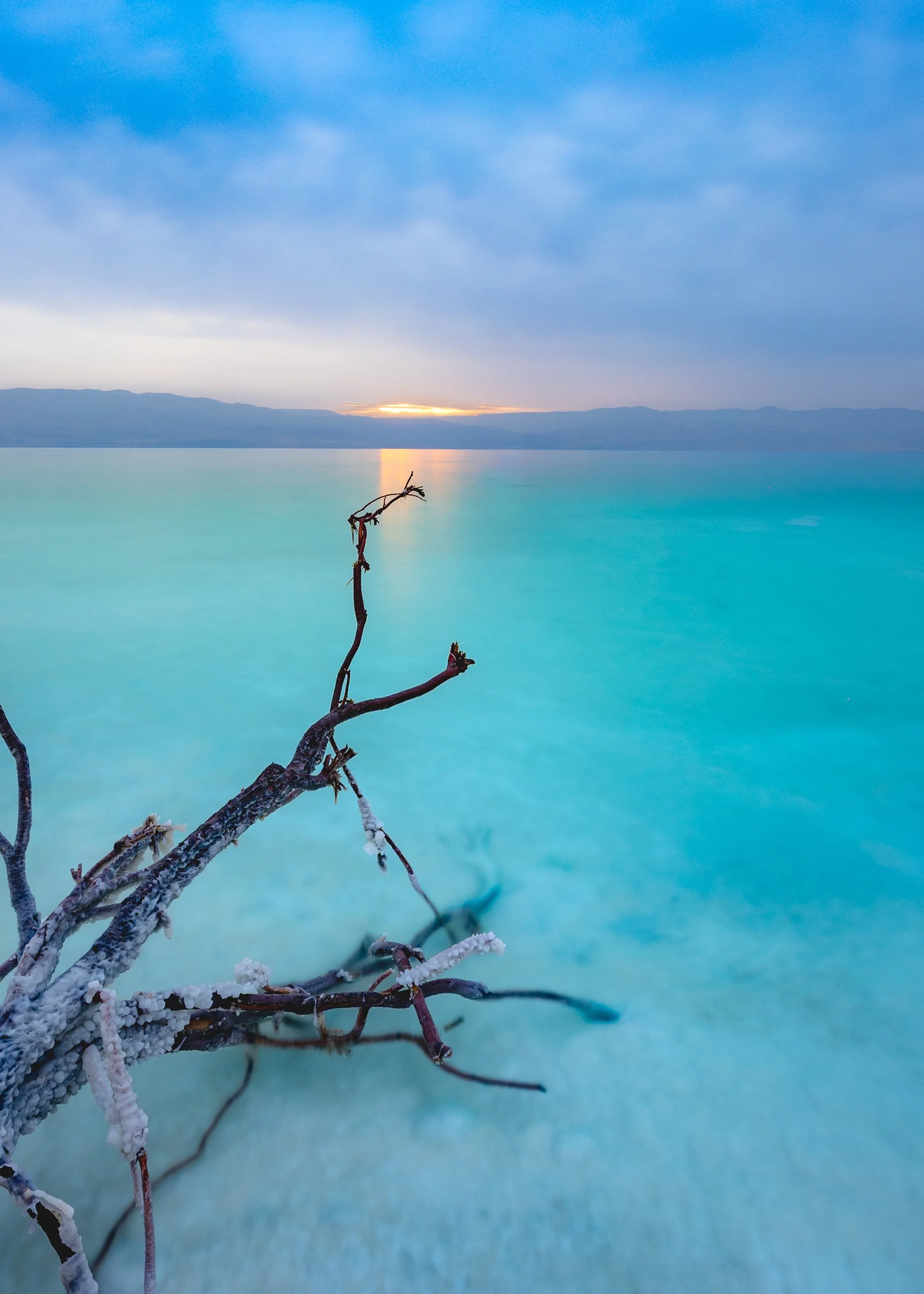A salt flat with a solitary, salt-encrusted tree branch in the foreground, a turquoise-tinged lake, and a sunset partially obscured by clouds in the background.