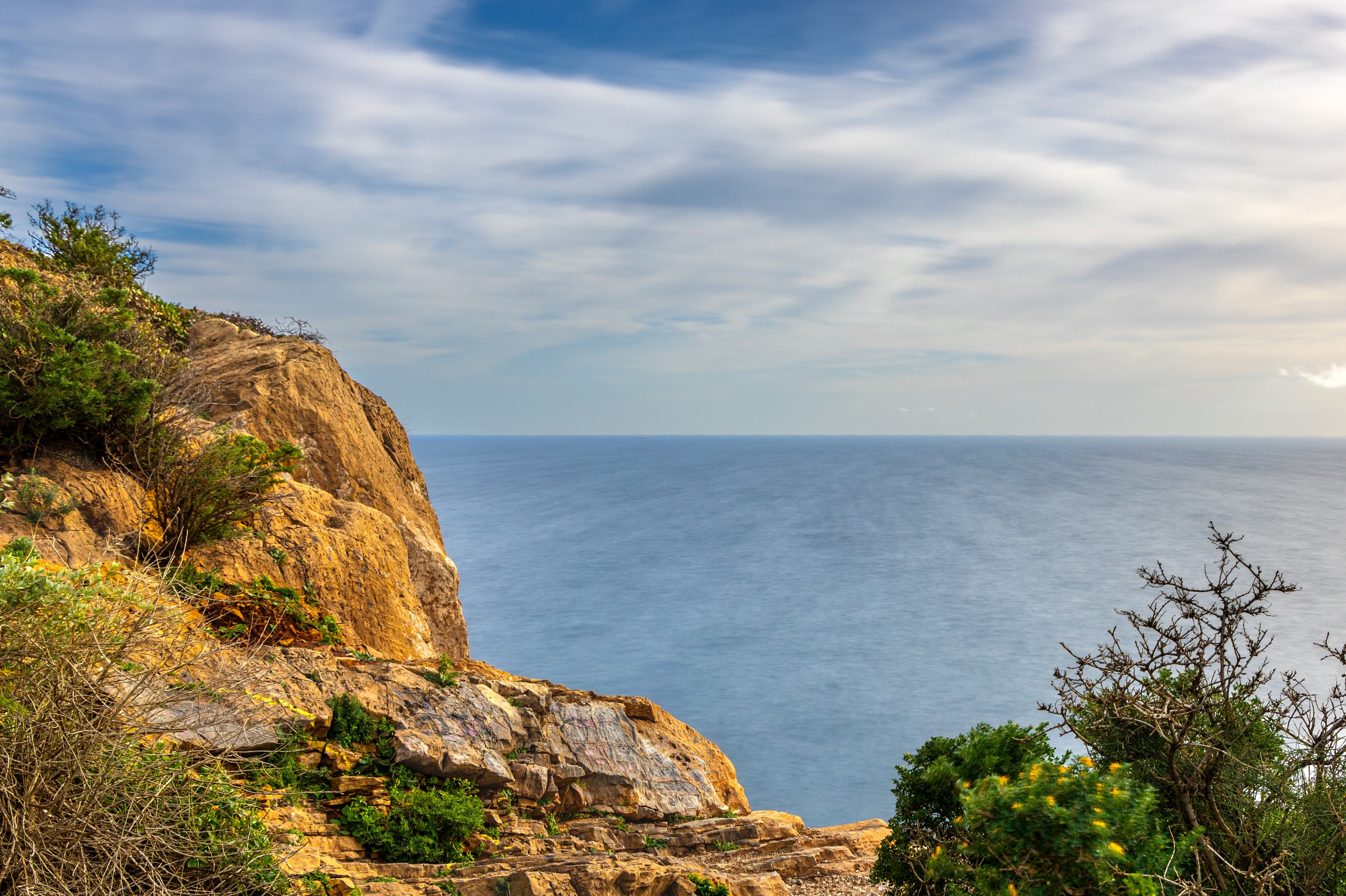 Cliffside overlooking the ocean under a partly cloudy sky with some green shrubs and barren trees in the foreground, photograph by erez nudmanov