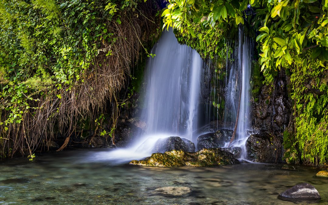 A small waterfall flowing over rocks into a clear, shallow pond surrounded by lush green foliage.