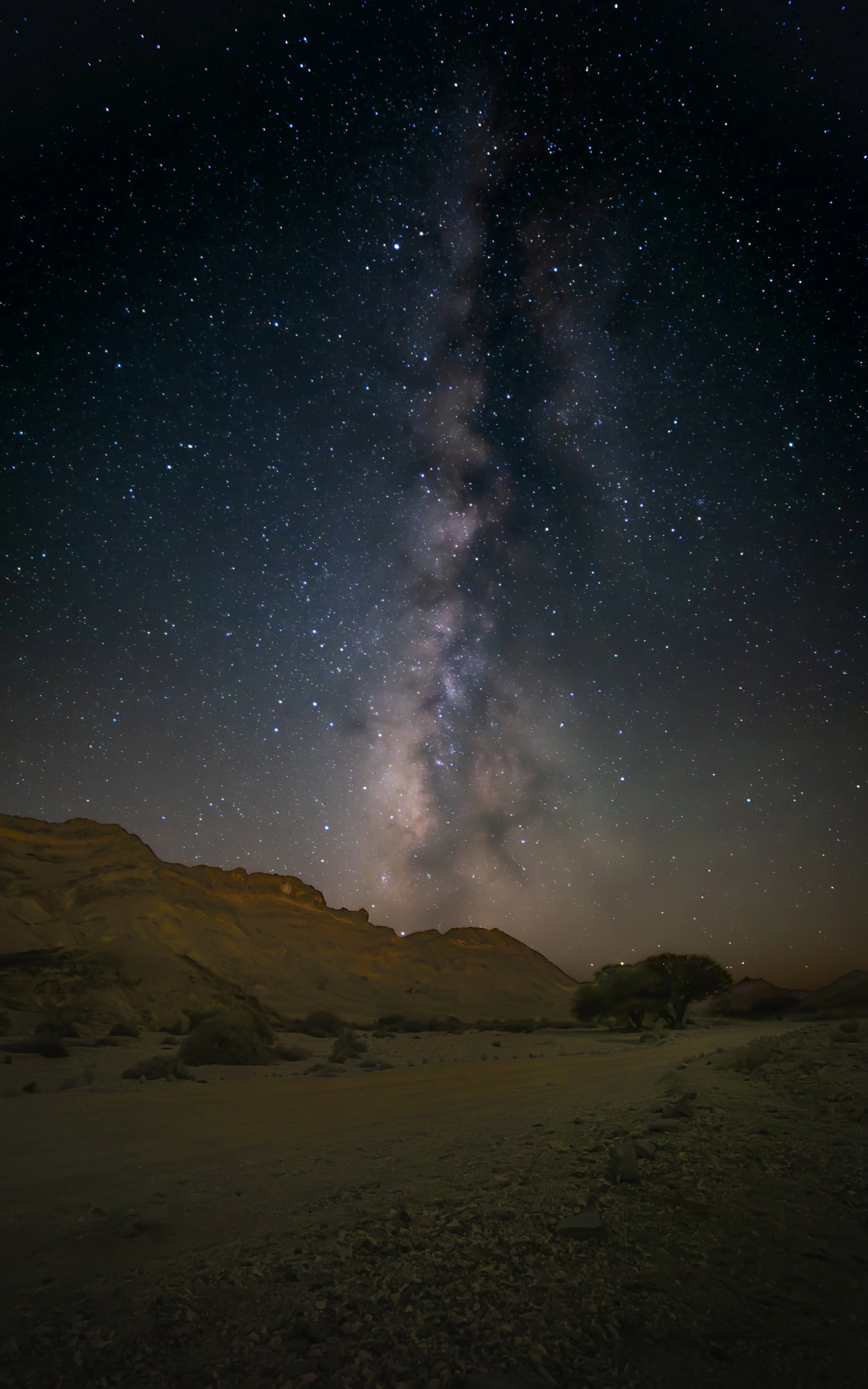 Night sky filled with stars and the Milky Way galaxy above a desert landscape with hills and a lone tree.