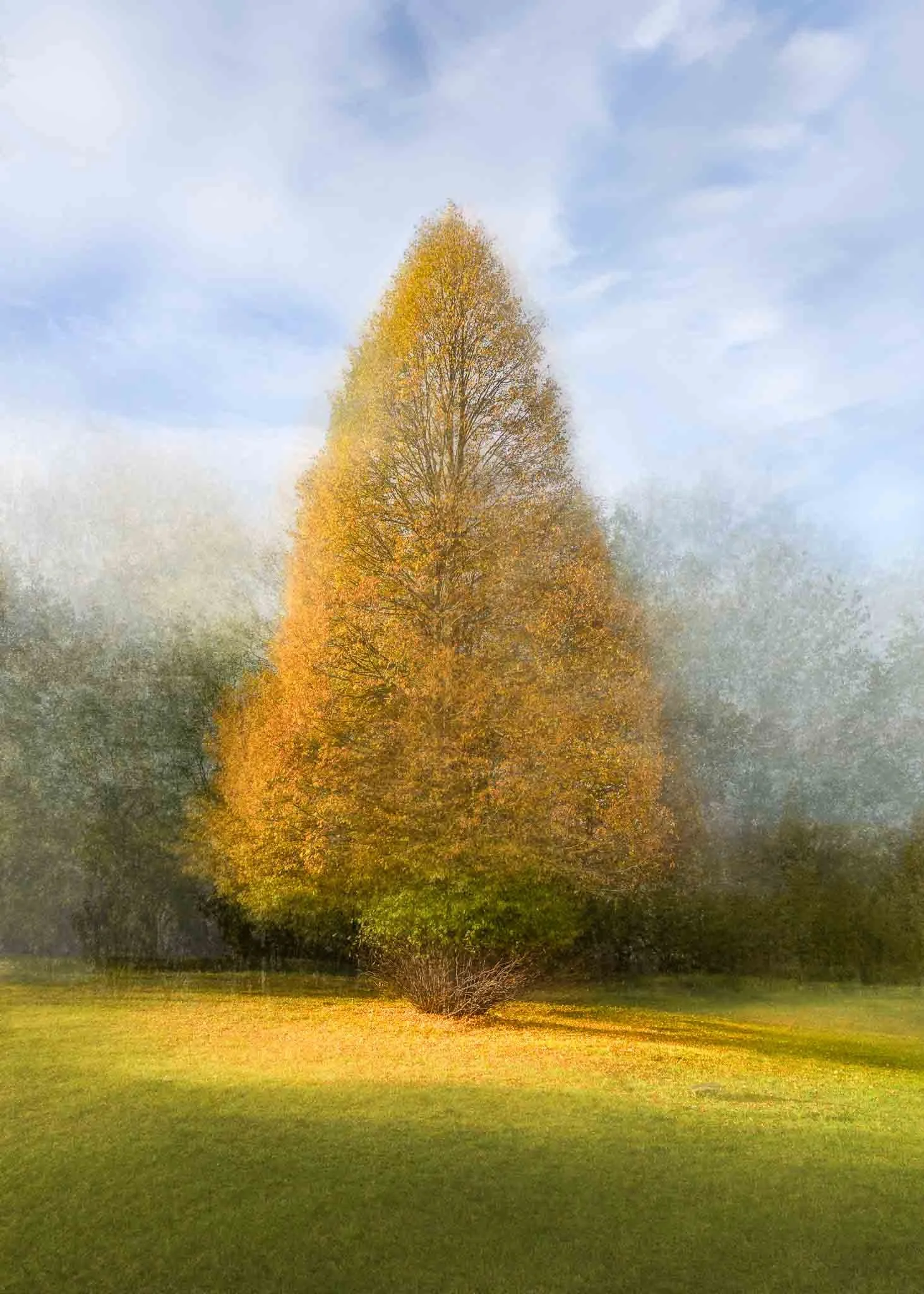 Fine-art photographic impression of a golden autumn tree in a green meadow, created using layered perspectives inspired by Pep Ventosa.