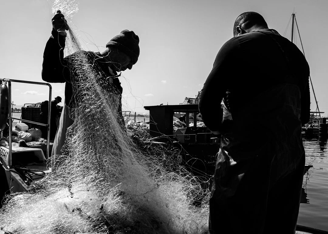 Two fishermen on a boat handling fishing nets by the water, with boats and a marina in the background.