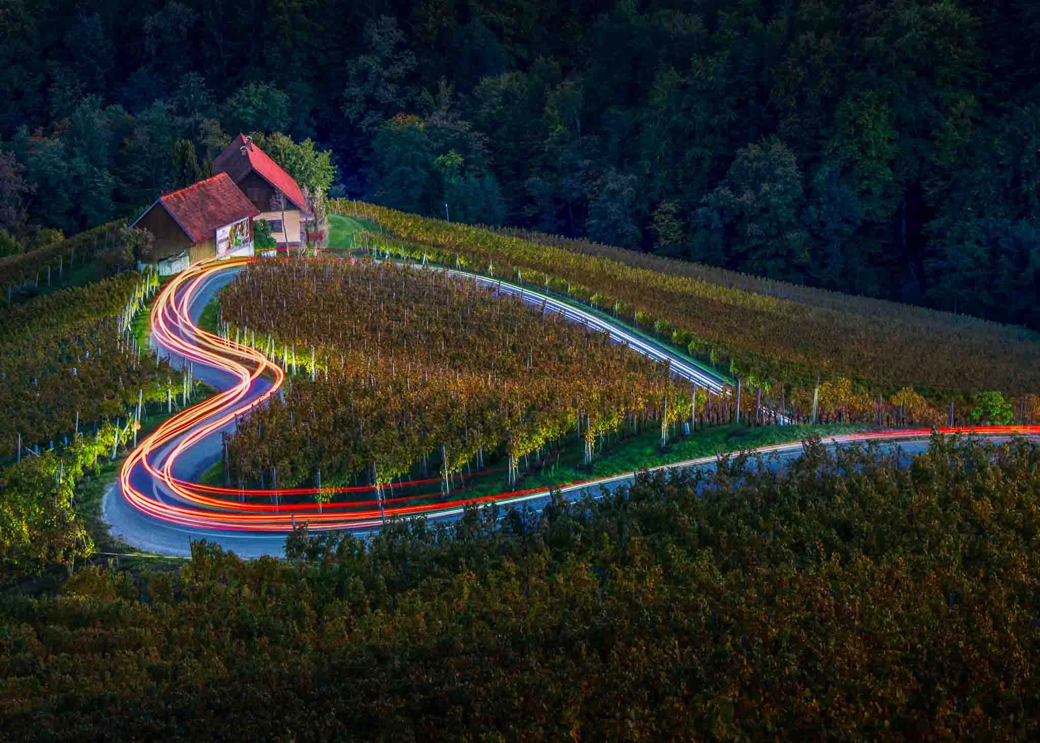 Long exposure light trails following an S-shaped road through hillside vineyards toward traditional red-roofed farm buildings in Slovenia.