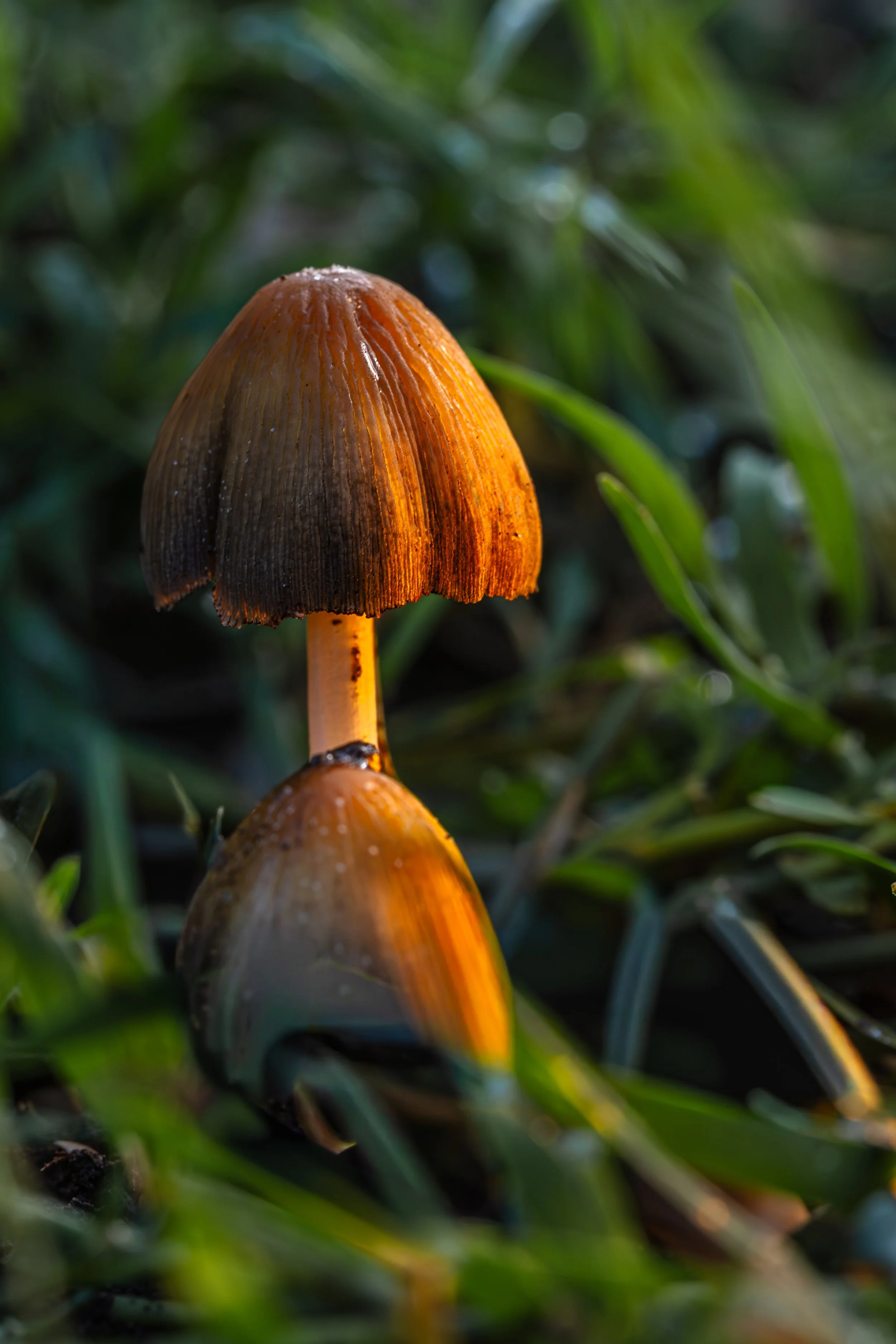 Web_2025_12_12_7026_53A7026.jpg