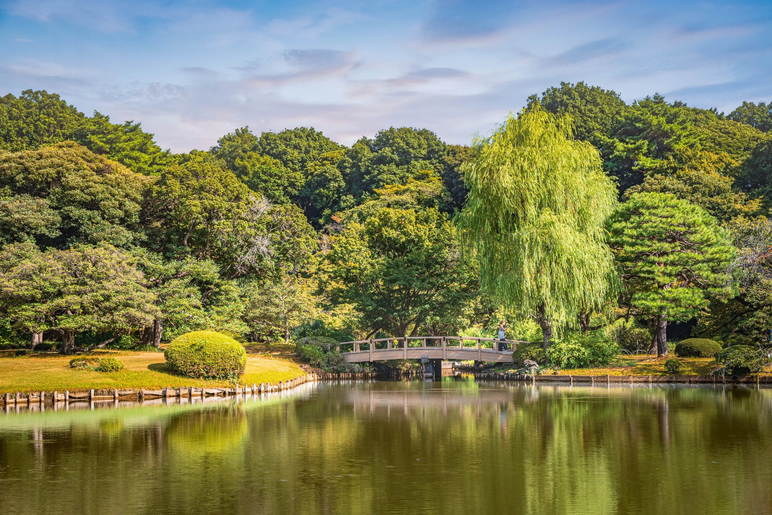 A peaceful park scene with a pond in the foreground, surrounded by lush green trees and bushes. There is a small wooden bridge over the pond, and a person walking across it, with a backdrop of a clear blue sky with some clouds.