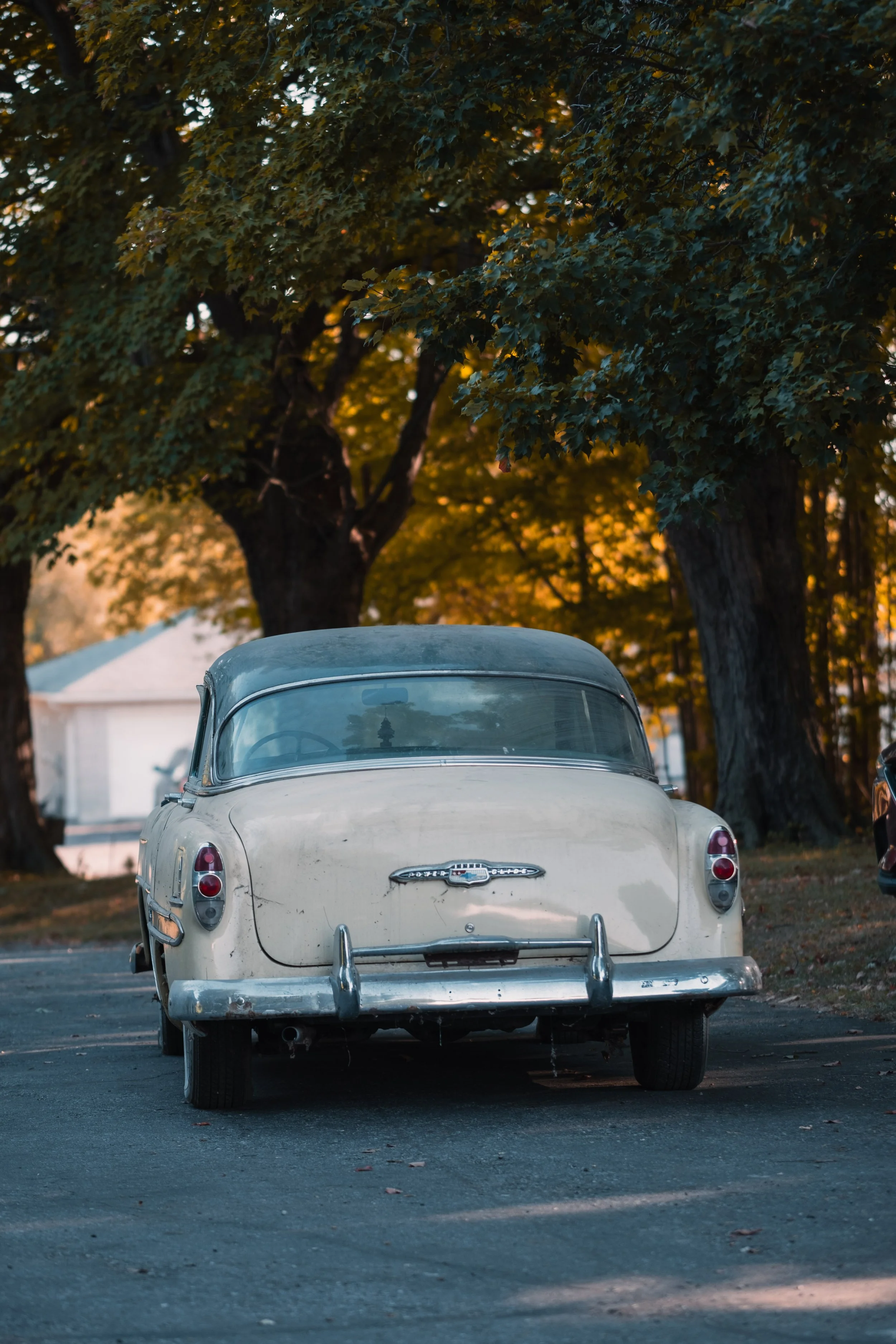 Rear view of a vintage white car parked on a street near large trees with green and orange leaves during autumn.