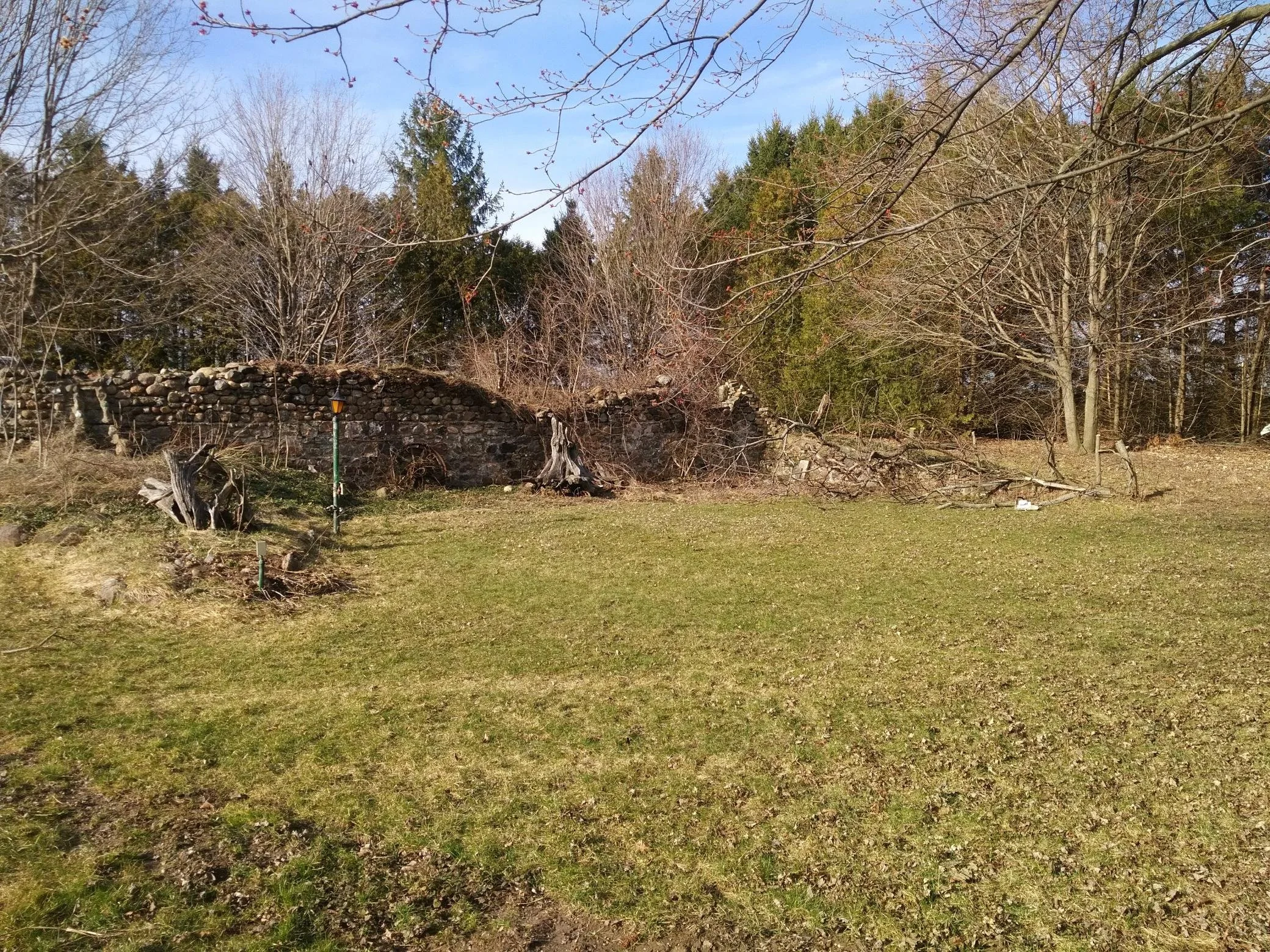A grassy backyard with a stone wall, bare trees, and fallen branches under a blue sky.